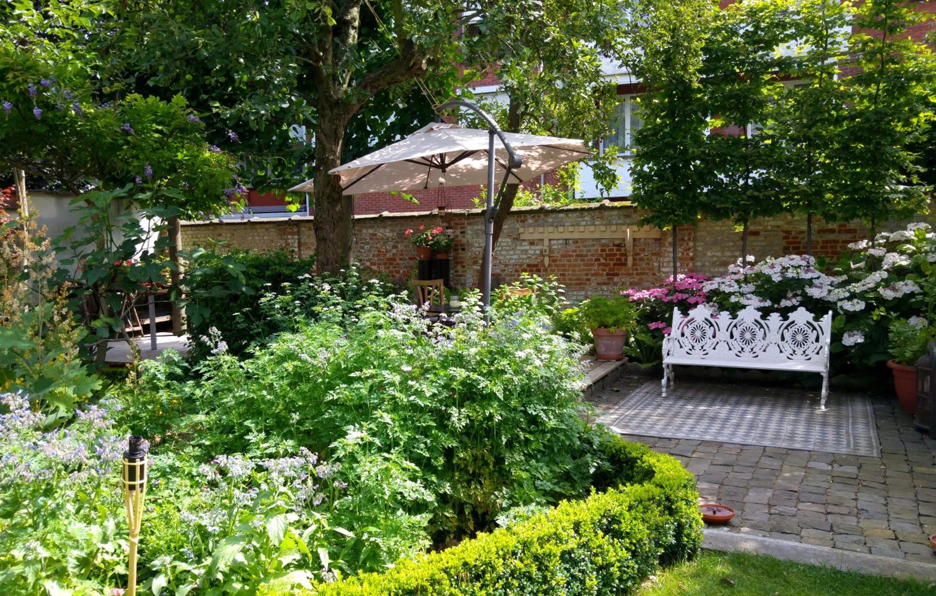 Garden in Bed & Breakfast Exterlaer