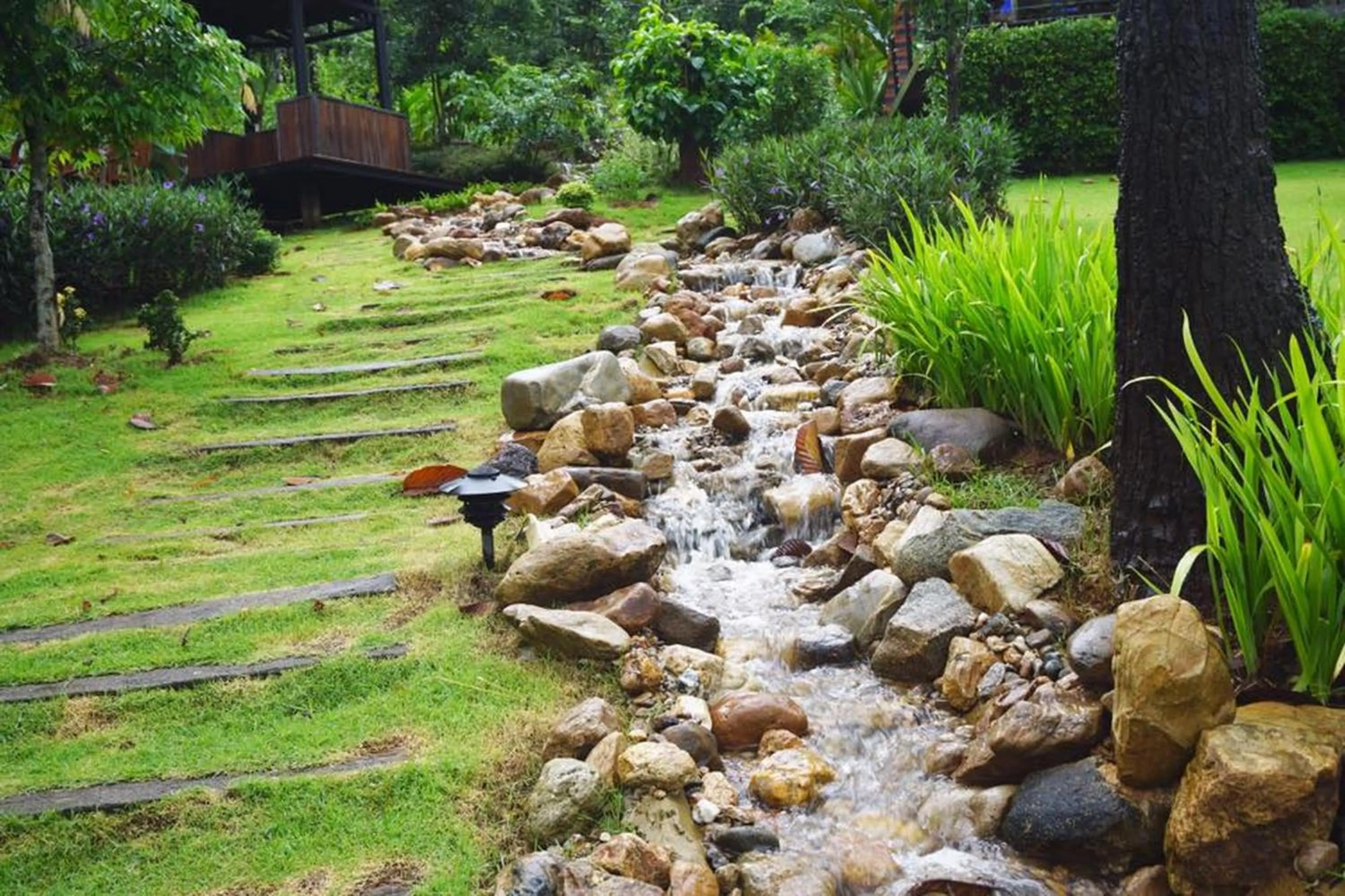 Natural landscape in Phu Pha View Doi