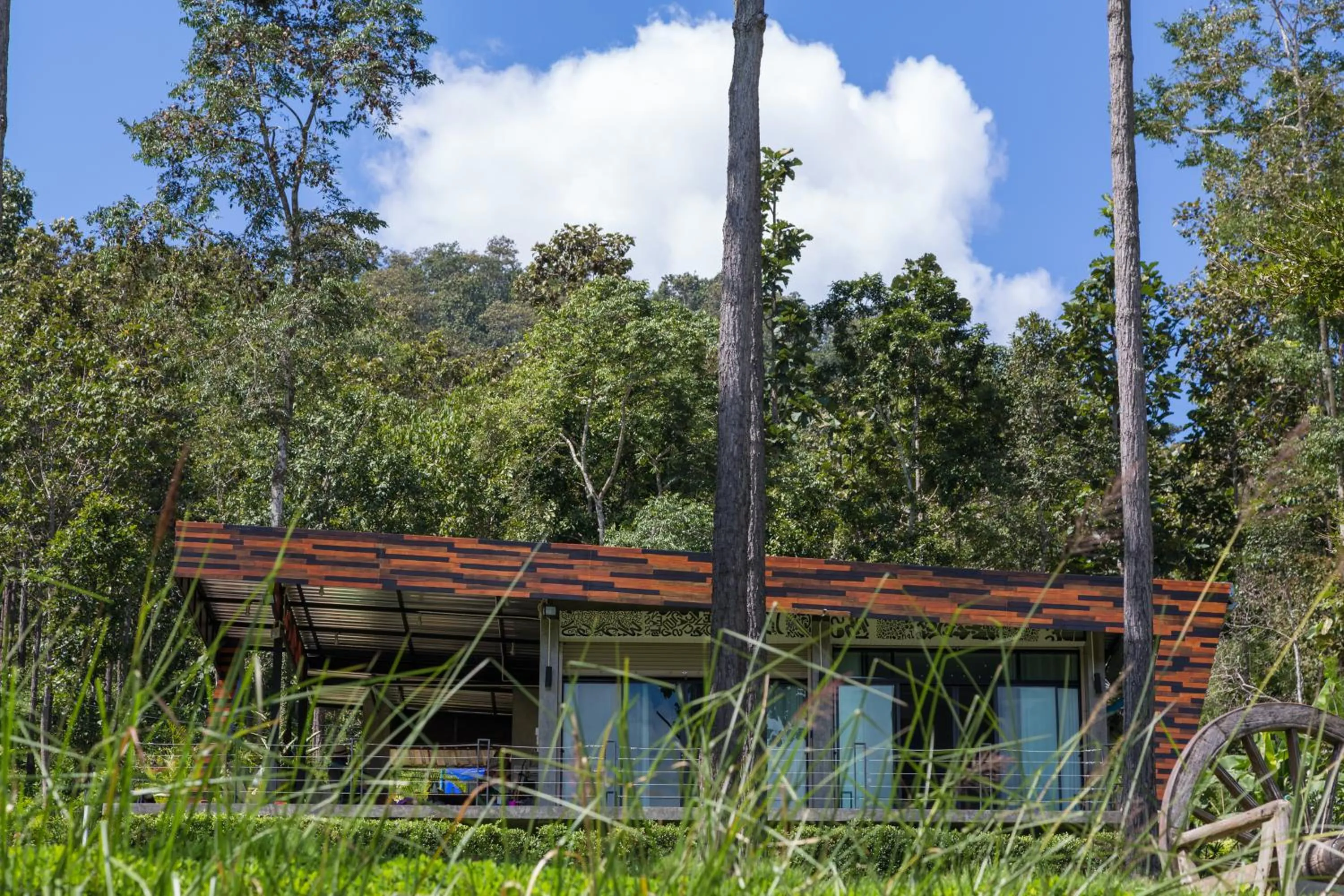 Natural landscape in Phu Pha View Doi