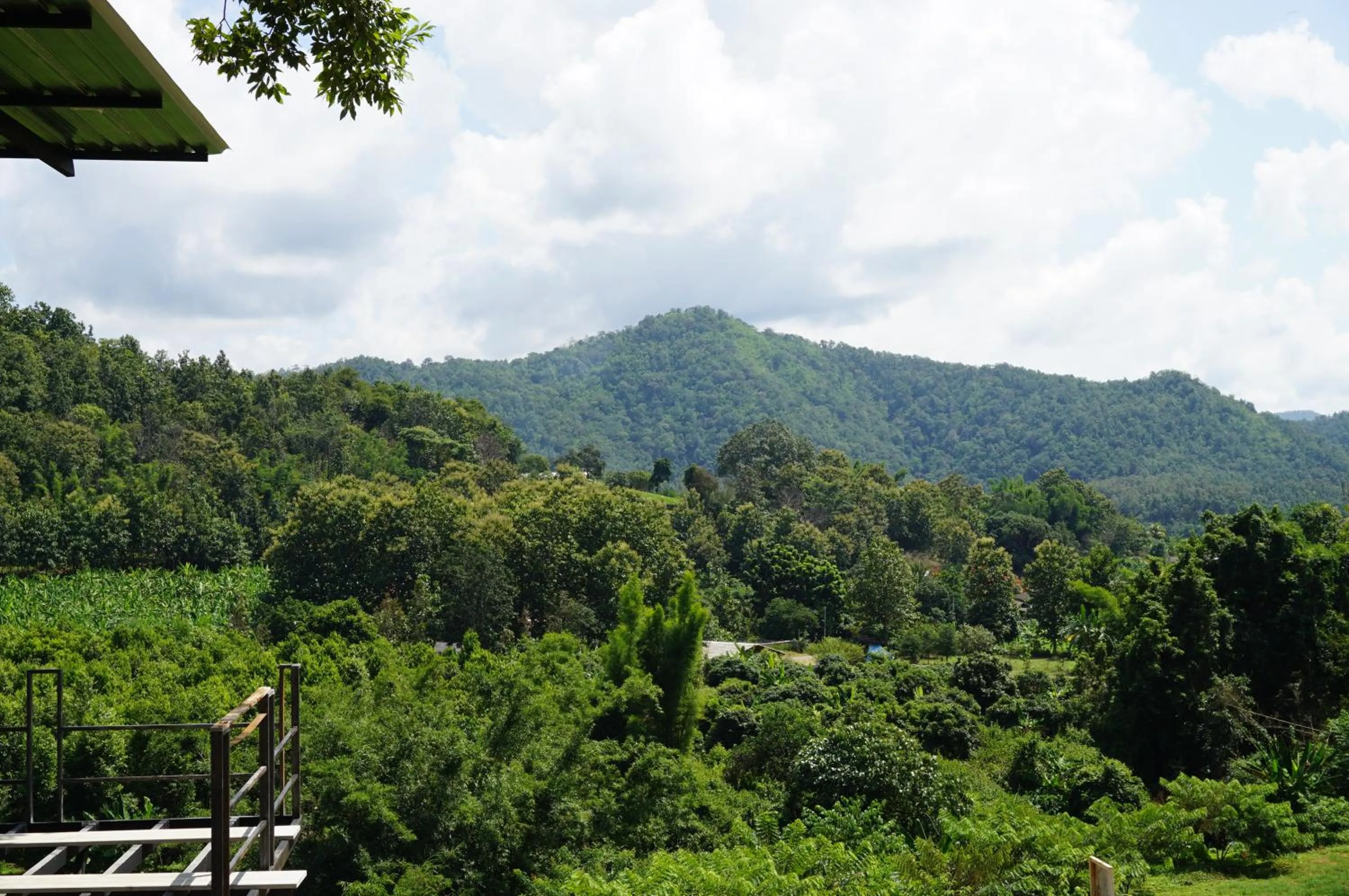 Mountain view in Phu Pha View Doi