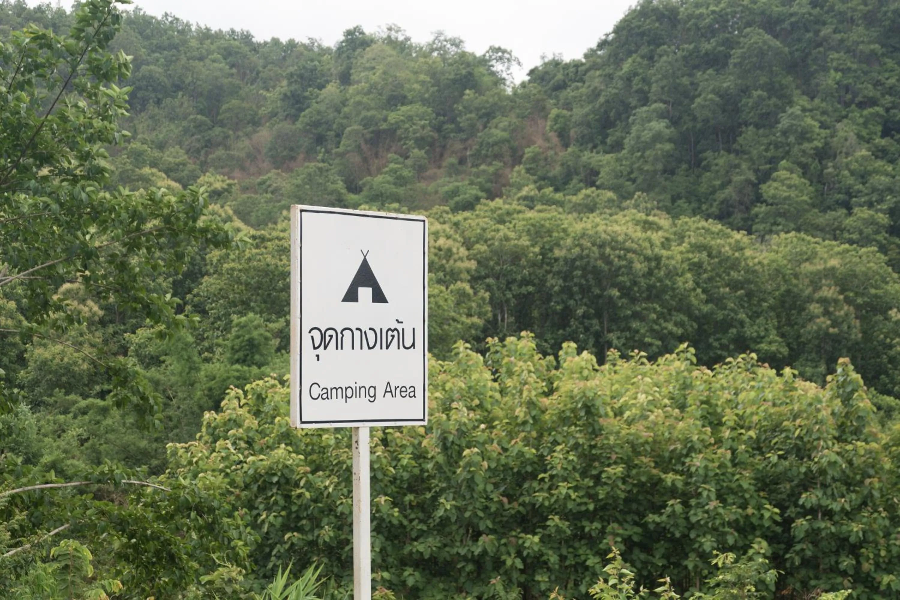 Natural landscape in Phu Pha View Doi