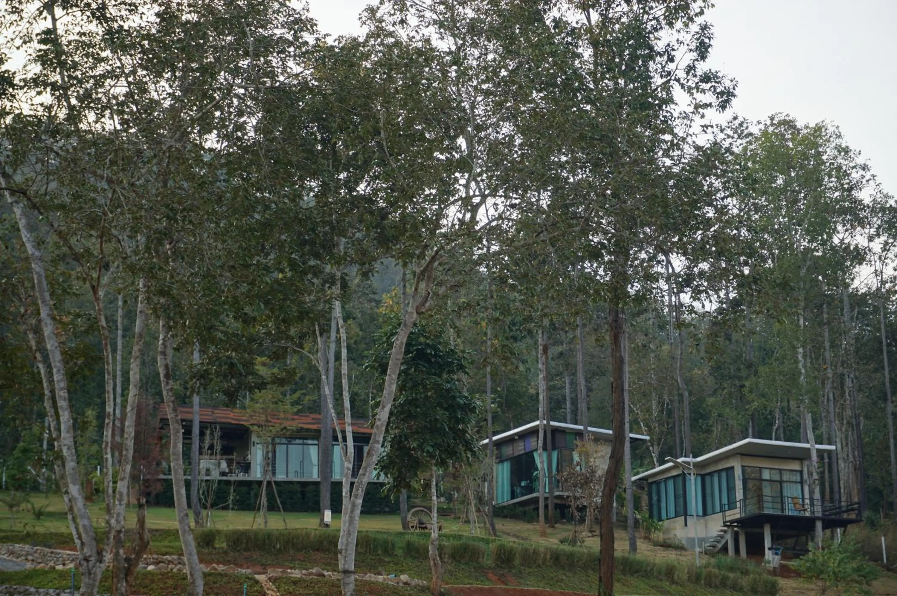 Natural landscape in Phu Pha View Doi