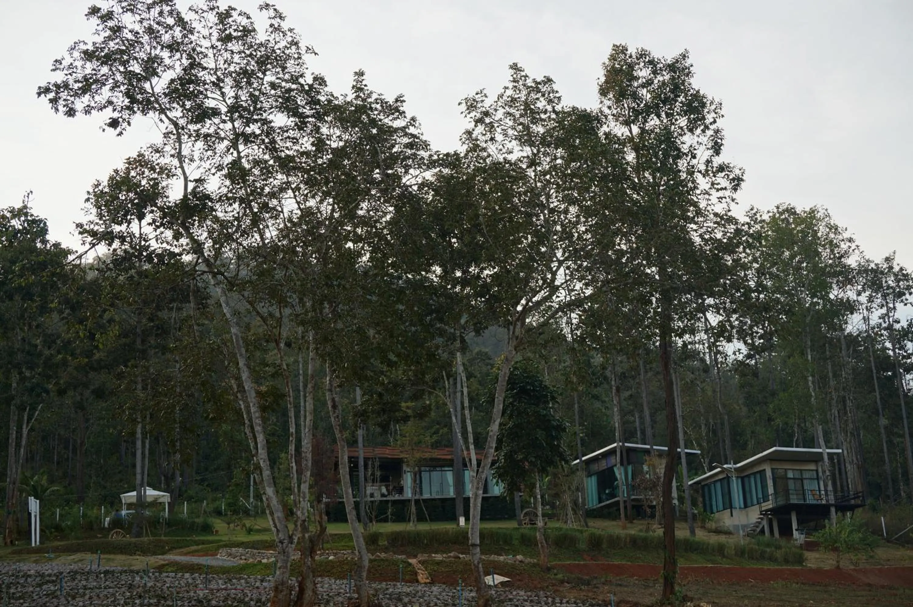 Natural landscape in Phu Pha View Doi