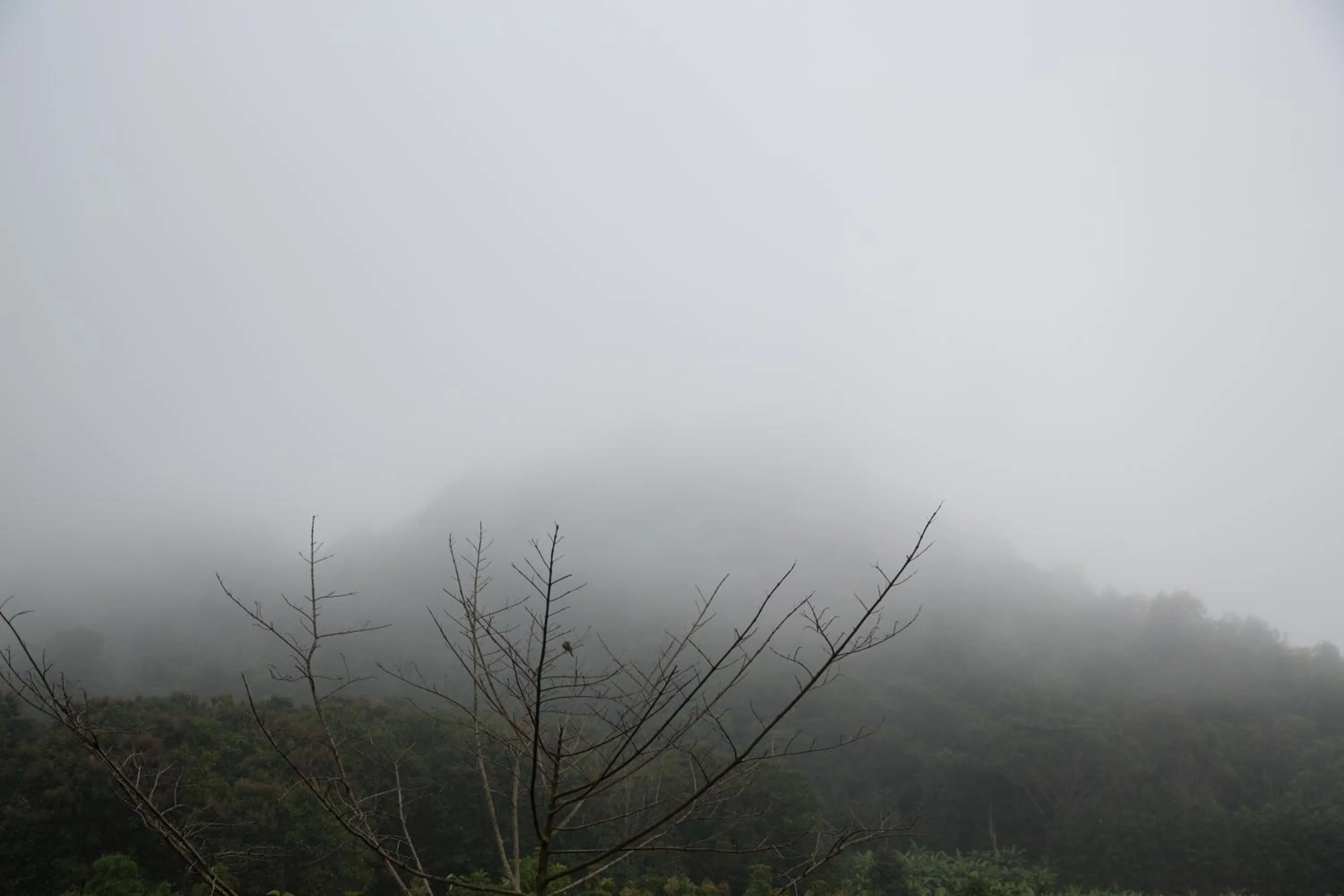 Other in Phu Pha View Doi