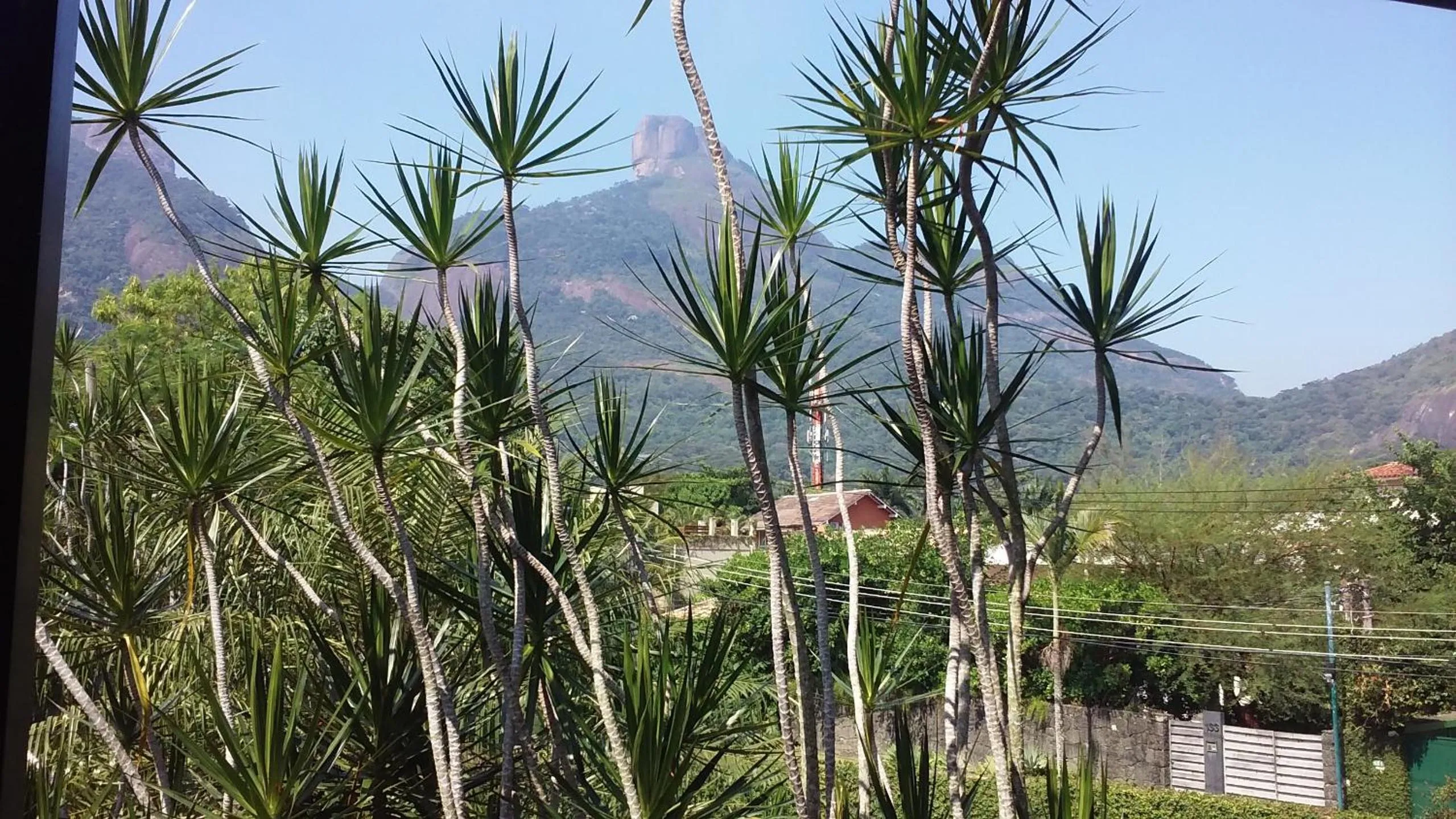 Mountain view in REB Casa Itanhangá