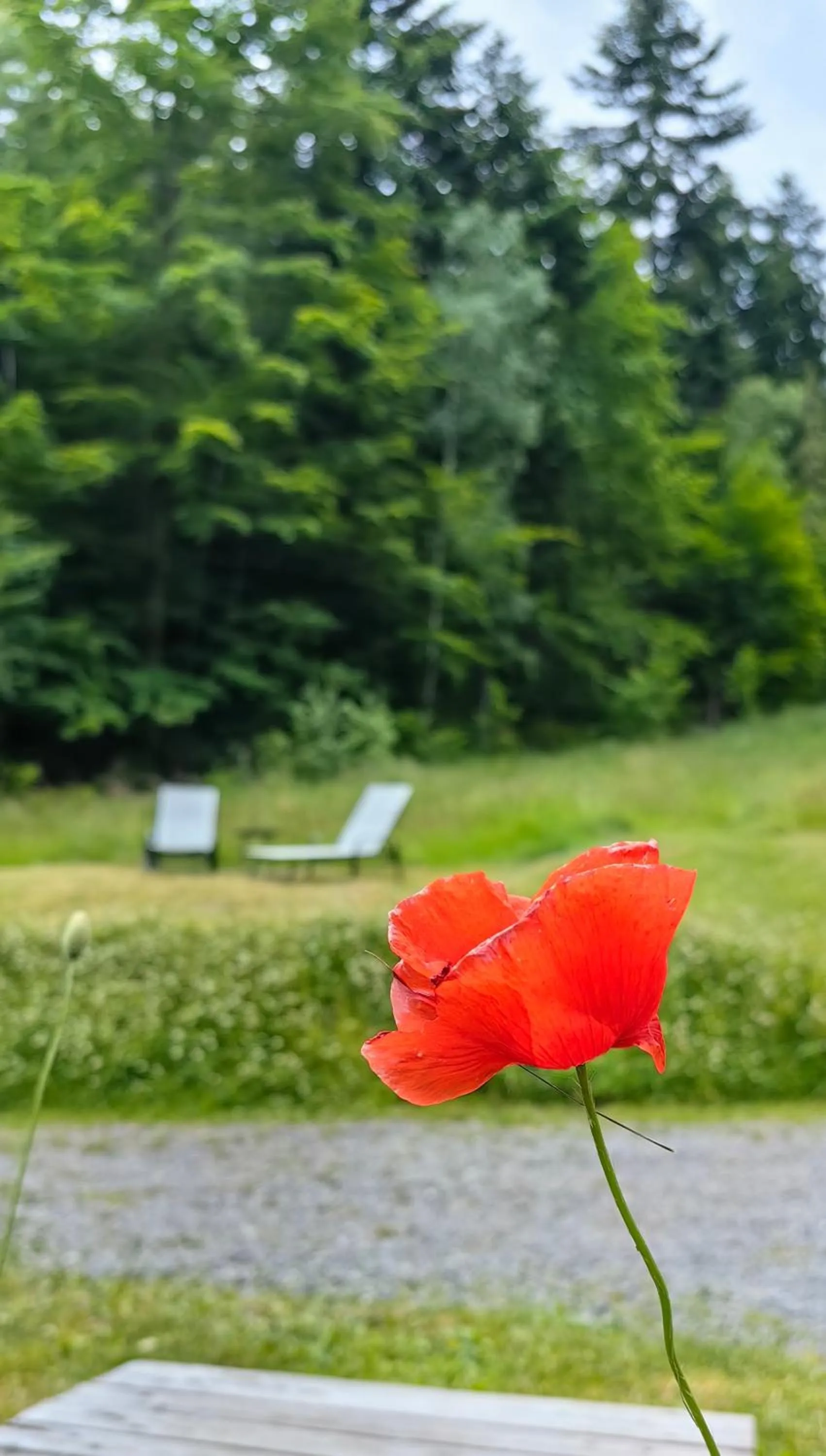 sunbed in Osada pod Beskidem- chatki całoroczne