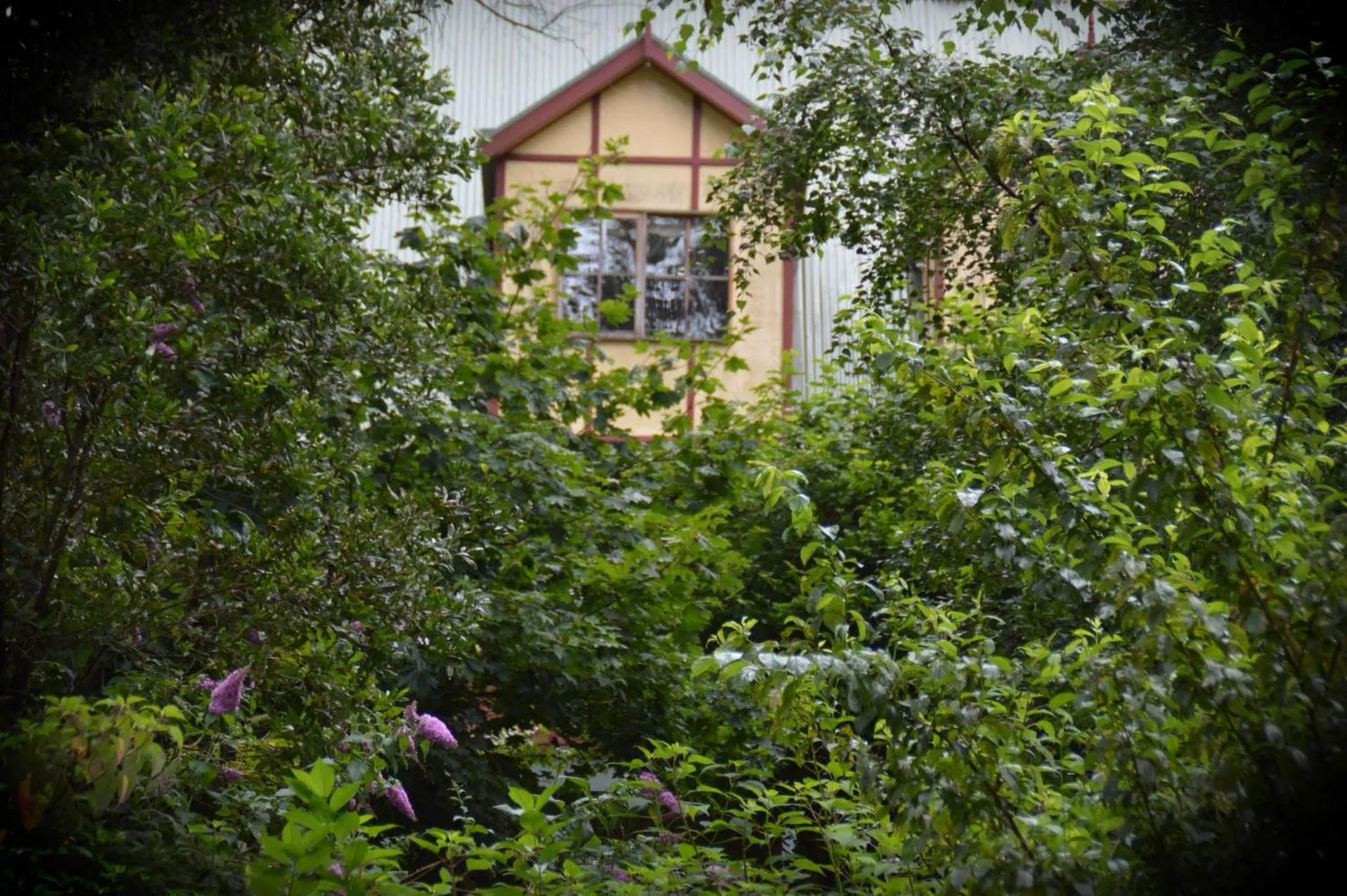 Facade/entrance in Mountain Lodge