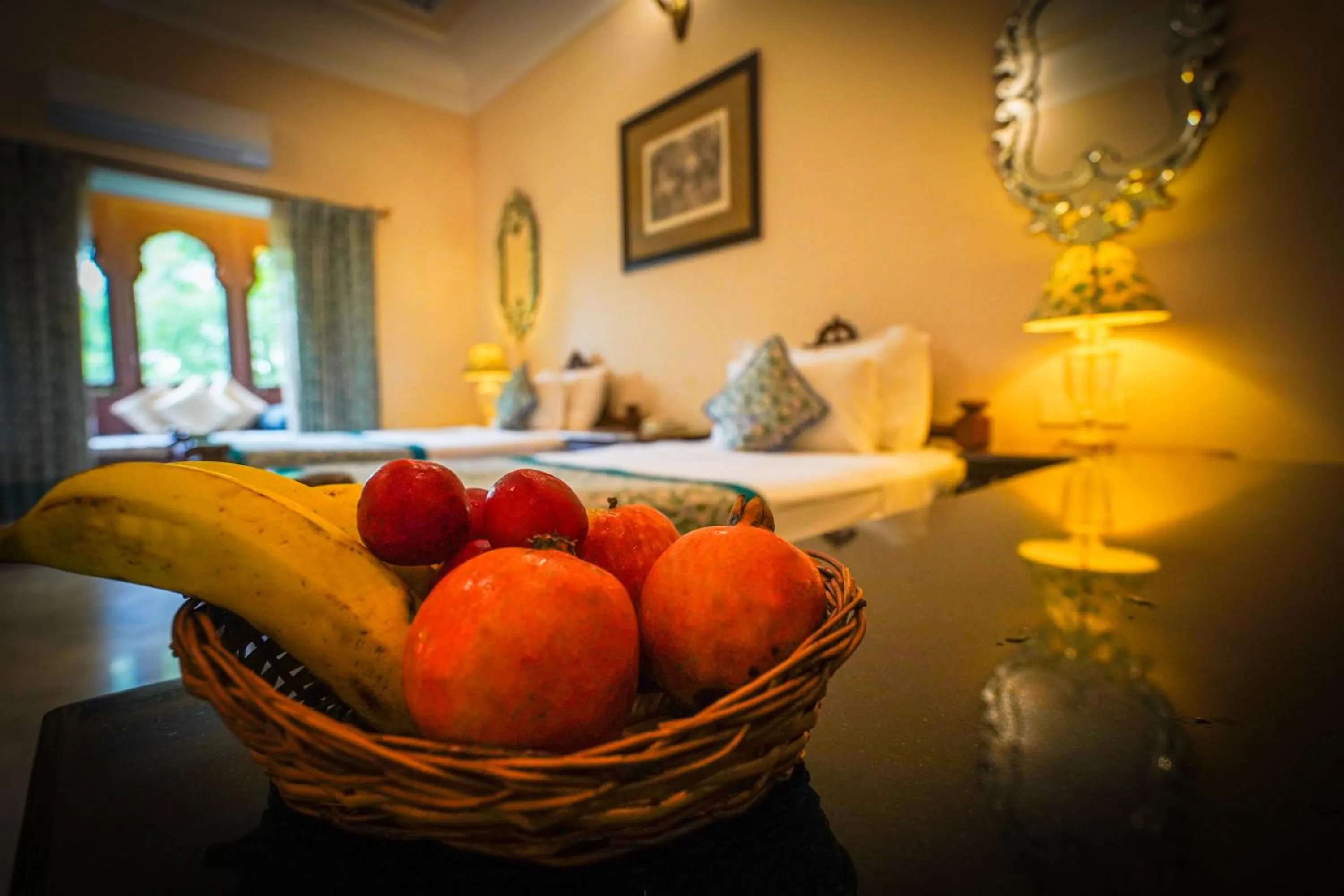 Photo of the whole room in Khas Bagh