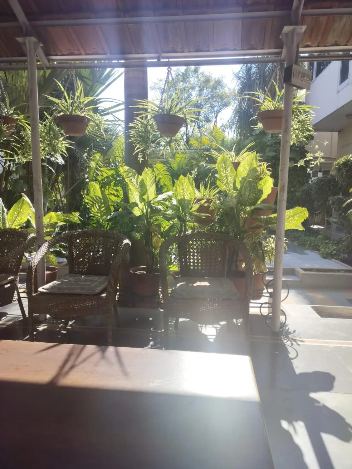 Garden view in Hotel Sukhvilas