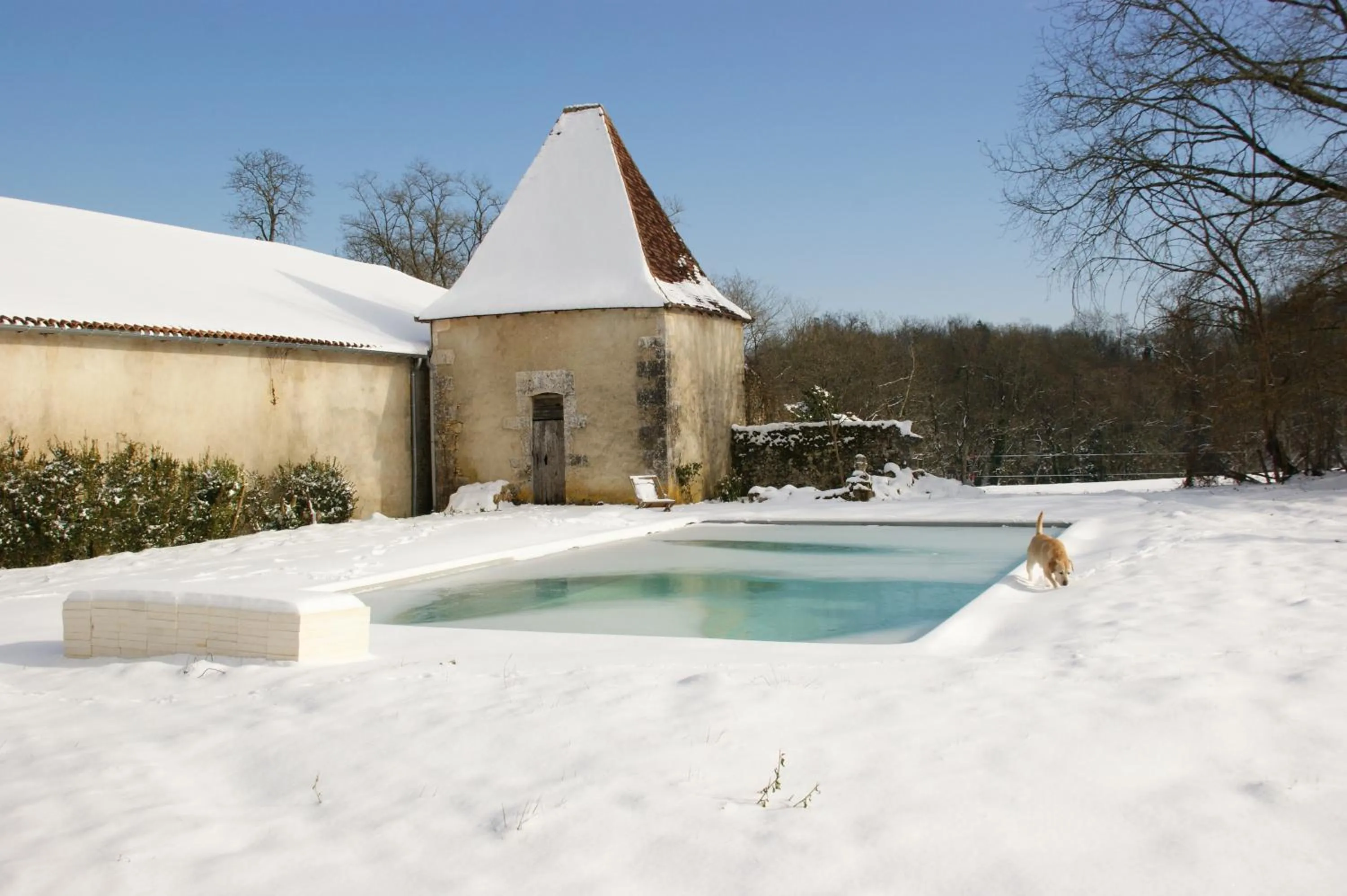 Swimming pool in Château de La Combe