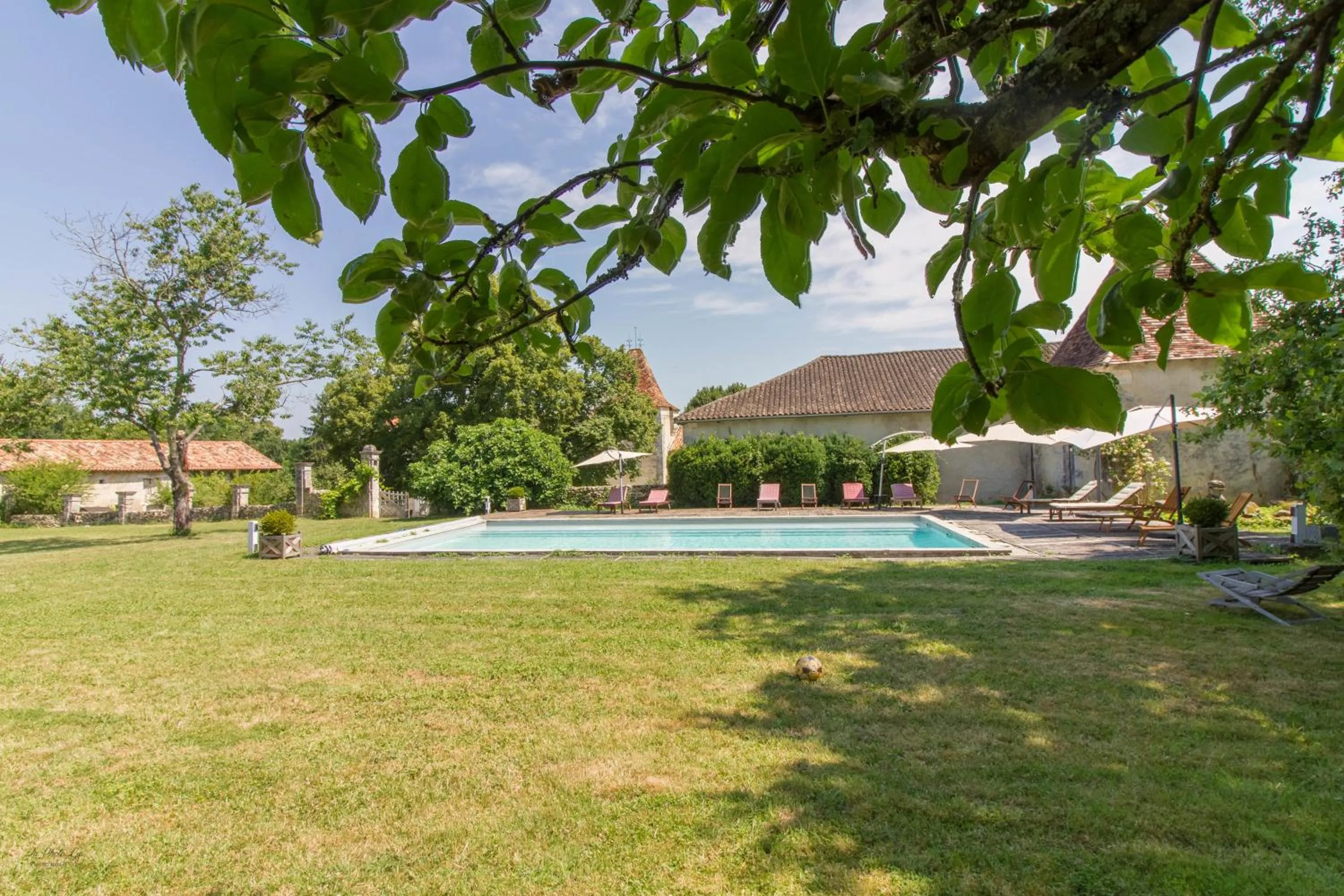 Swimming pool in Château de La Combe
