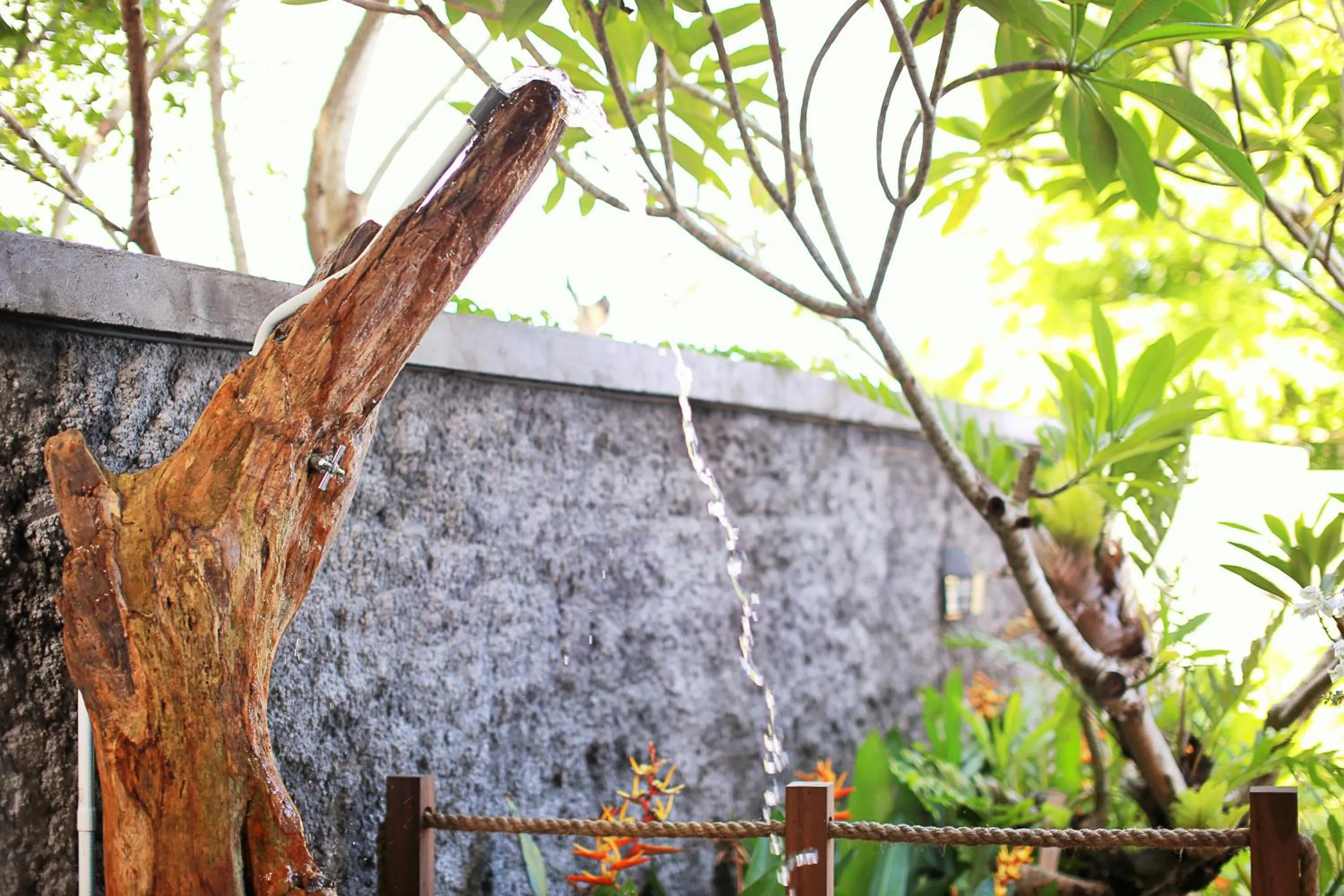 Garden view in Breezy Point Villas
