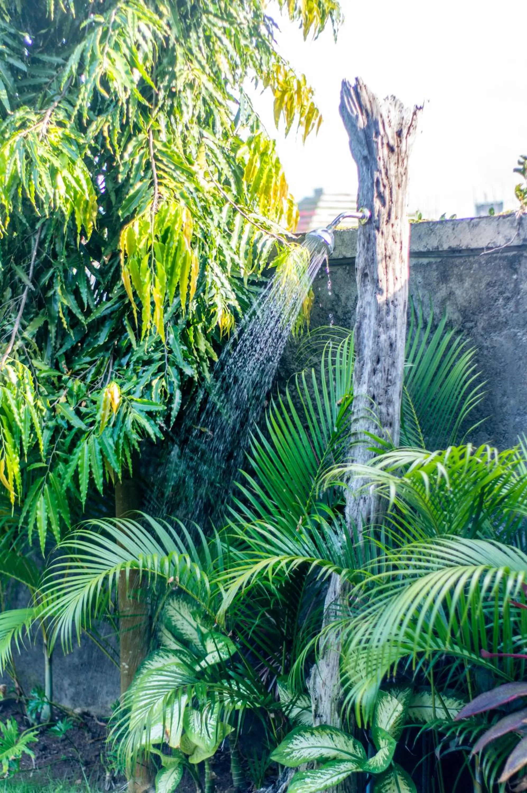 Shower in Breezy Point Villas
