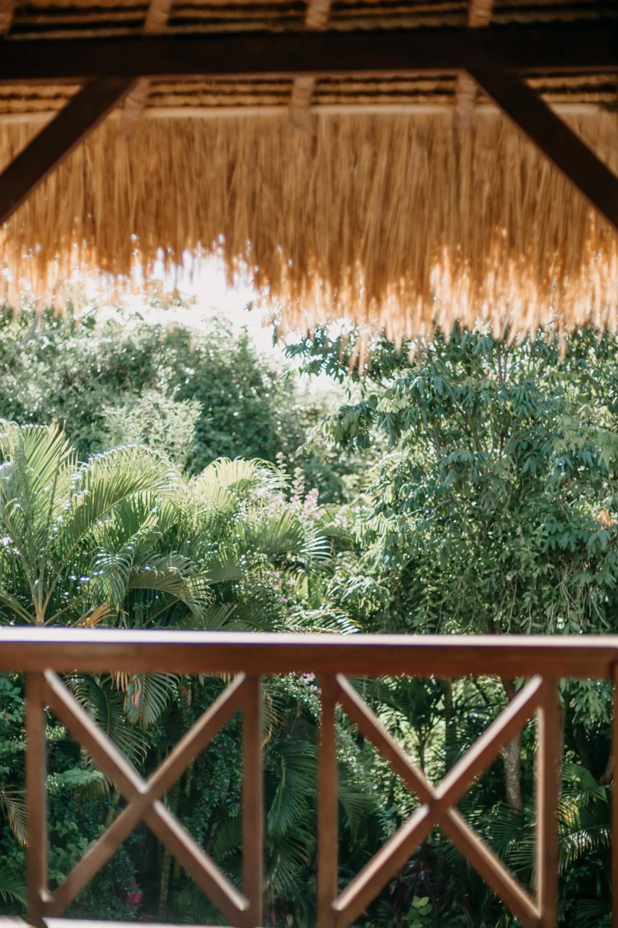 Garden view in Breezy Point Villas