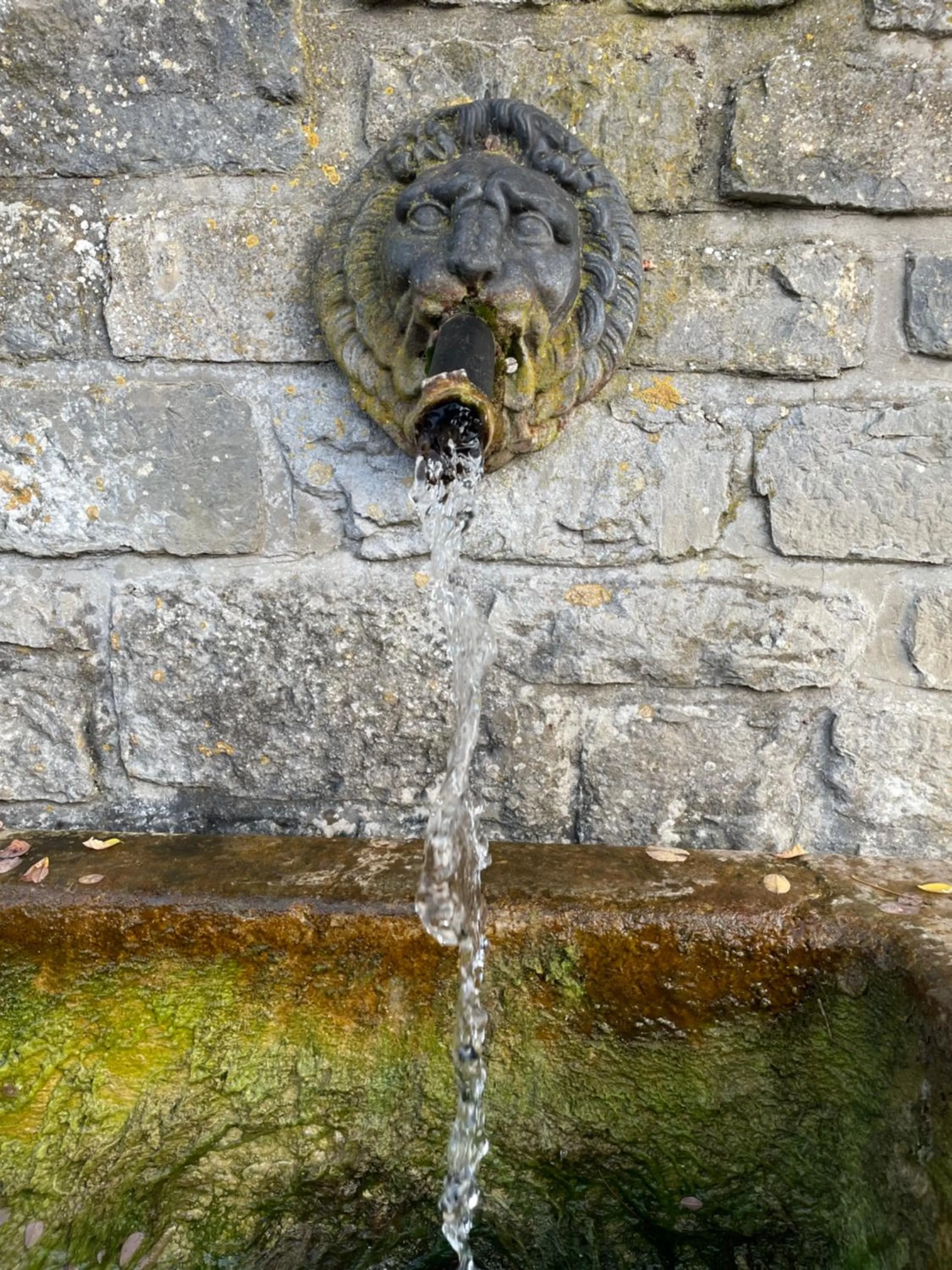 Le Temps d'une Pause