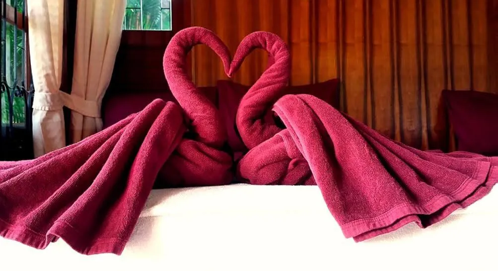 Other in Phangan Lodge