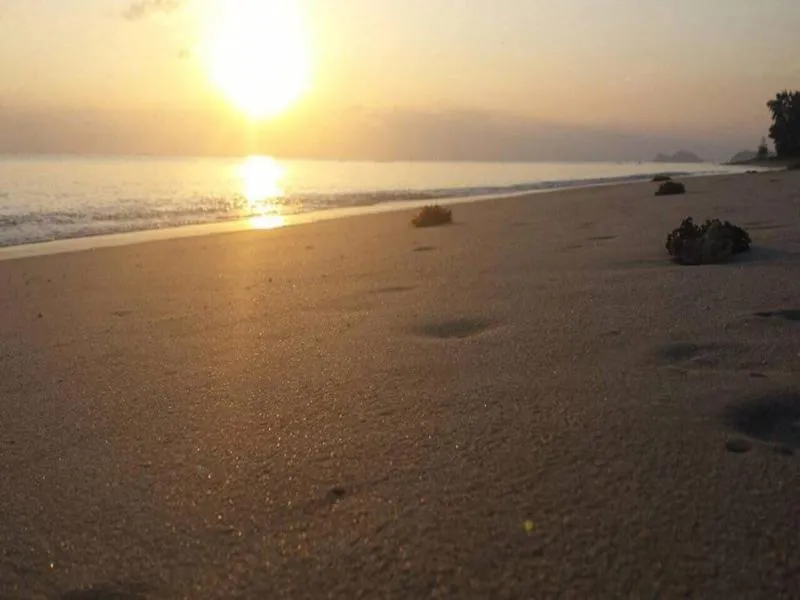 Property building in Phangan Lodge