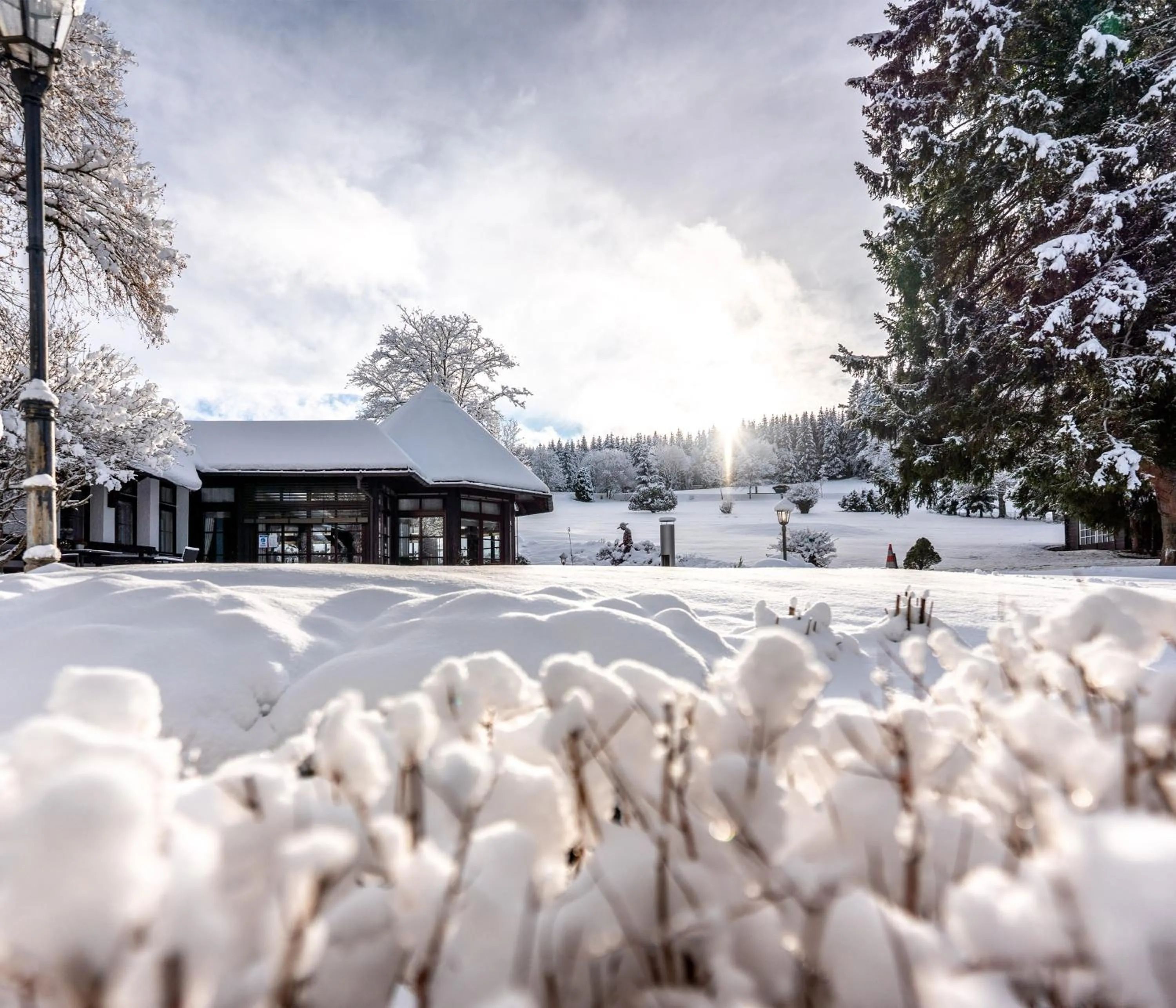 Property building in Hotel Zum Ochsen