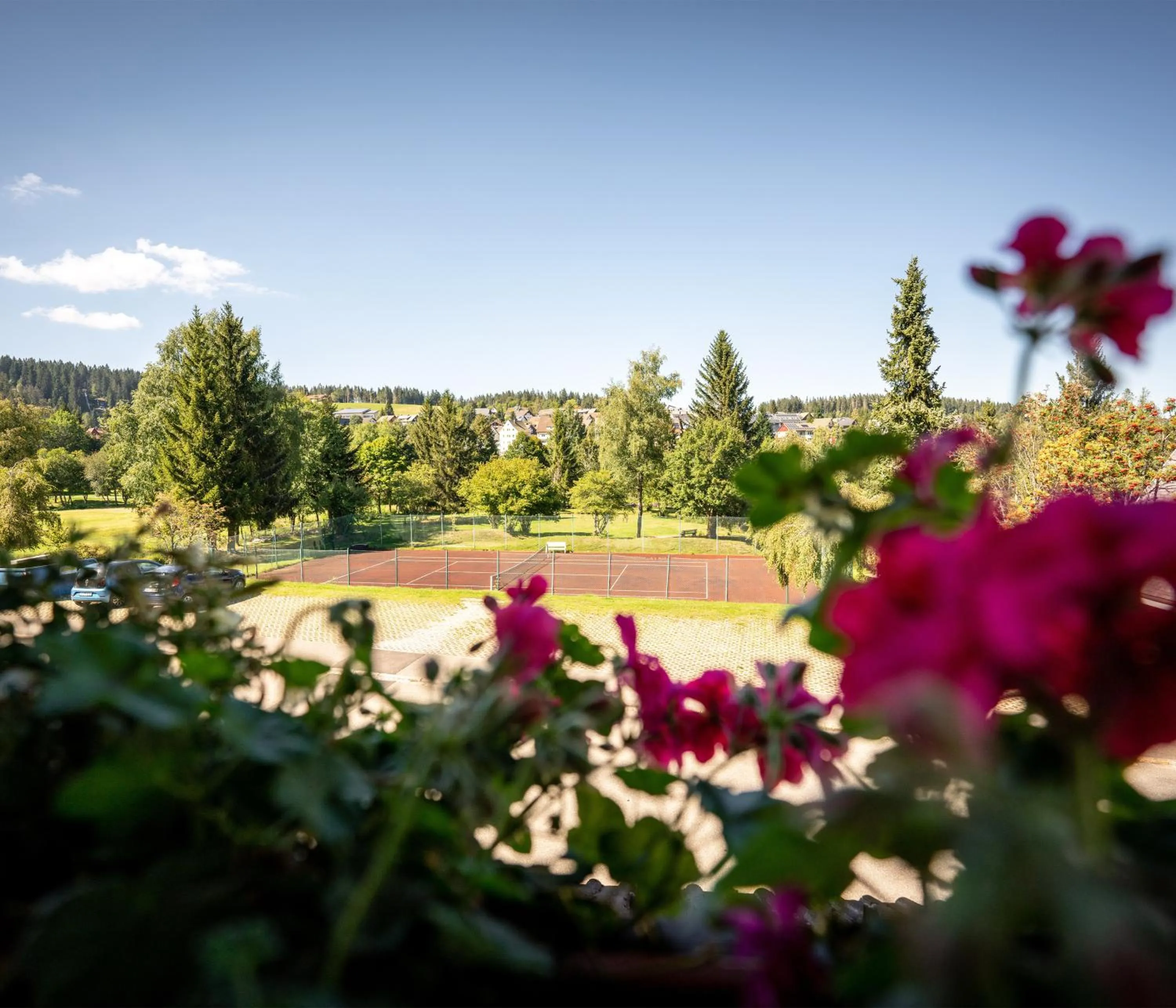 Garden in Hotel Zum Ochsen