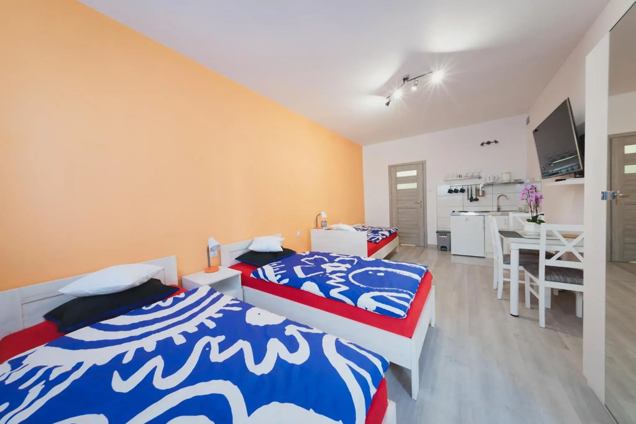 Superior Apartment - single occupancy in Apartament Franka Superior Apartment - single occupancy in Apartament Franka