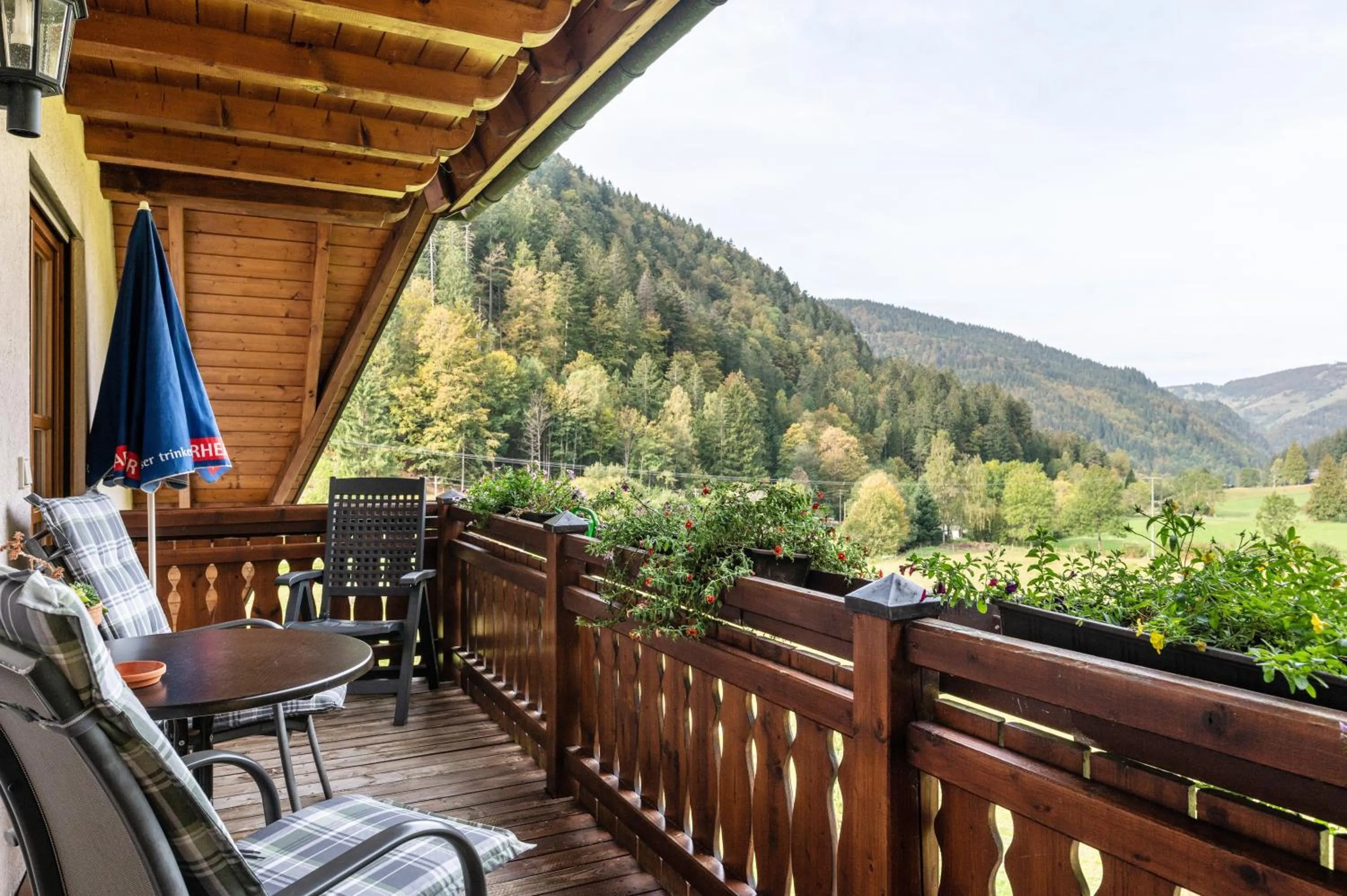 Property building in Gasthaus Zur Linde- Napf