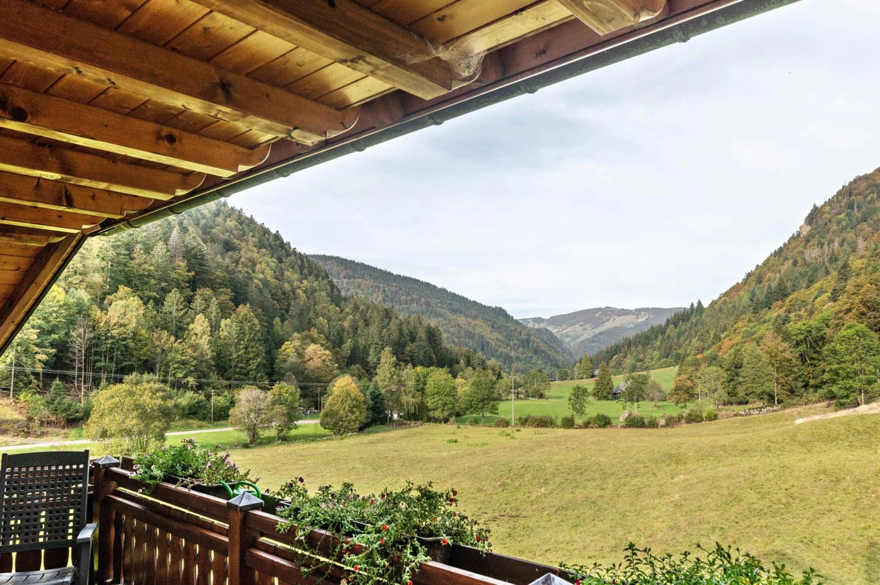 Property building in Gasthaus Zur Linde- Napf