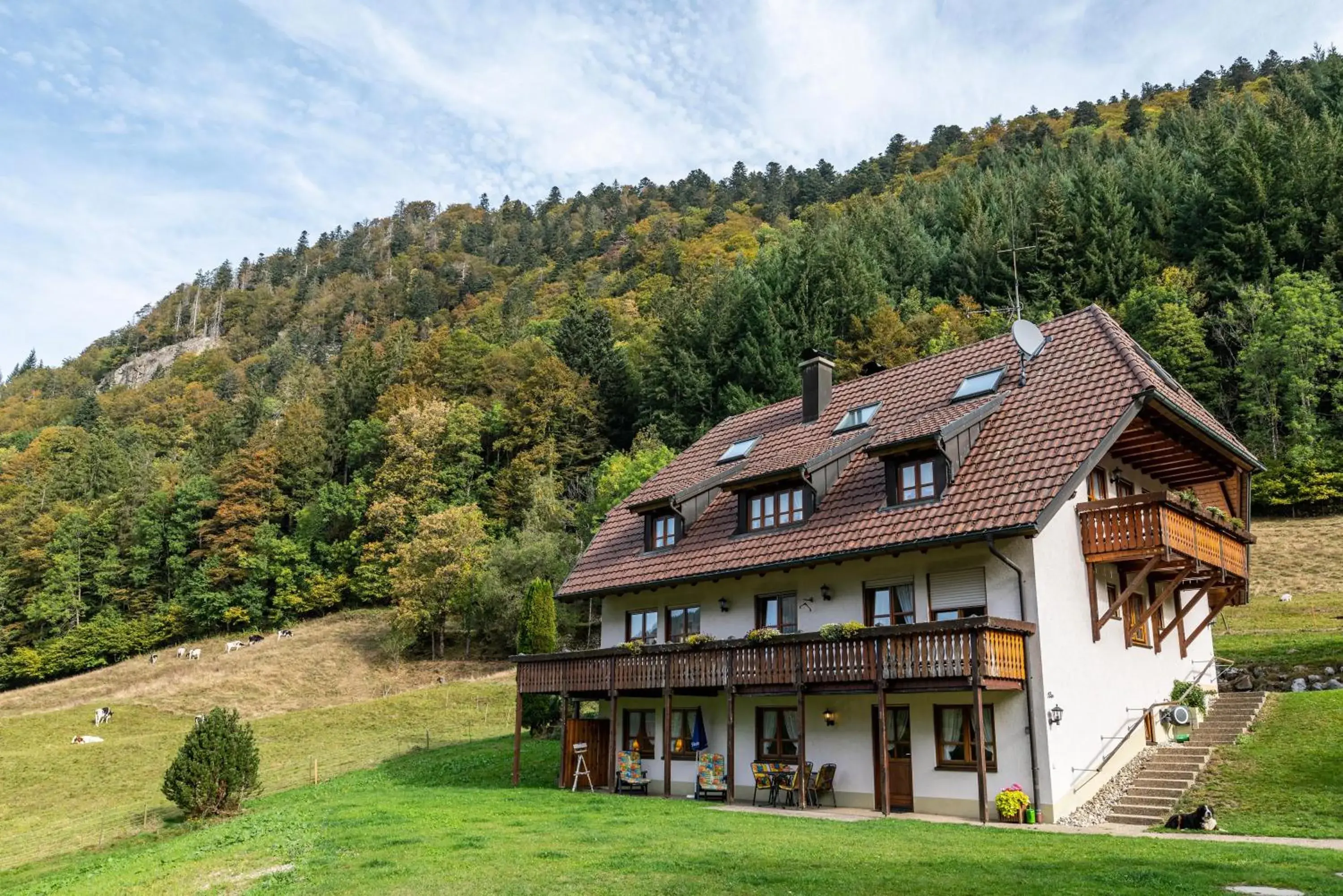 Gasthaus Zur Linde- Napf Gasthaus Zur Linde- Napf