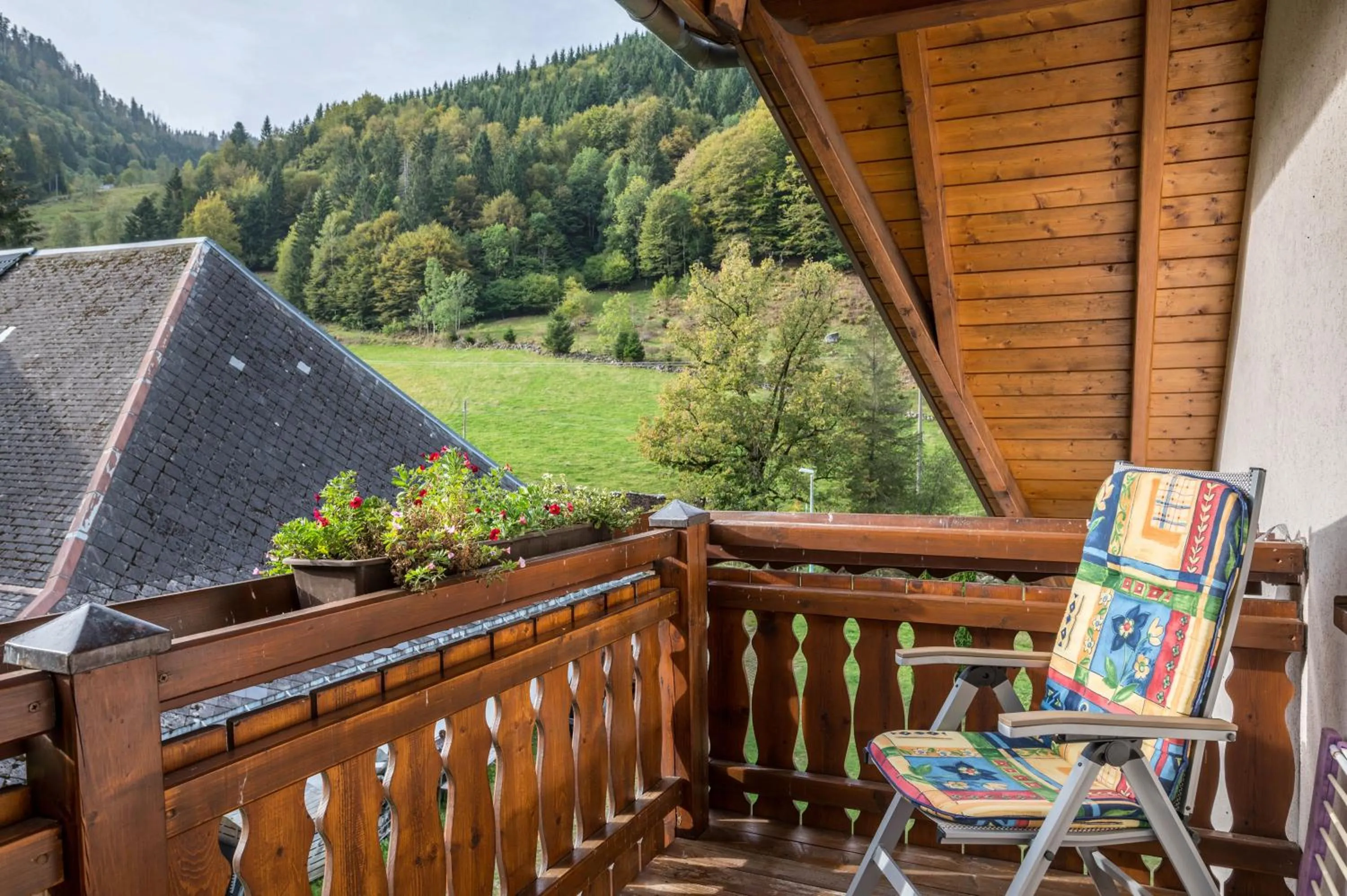 Property building in Gasthaus Zur Linde- Napf