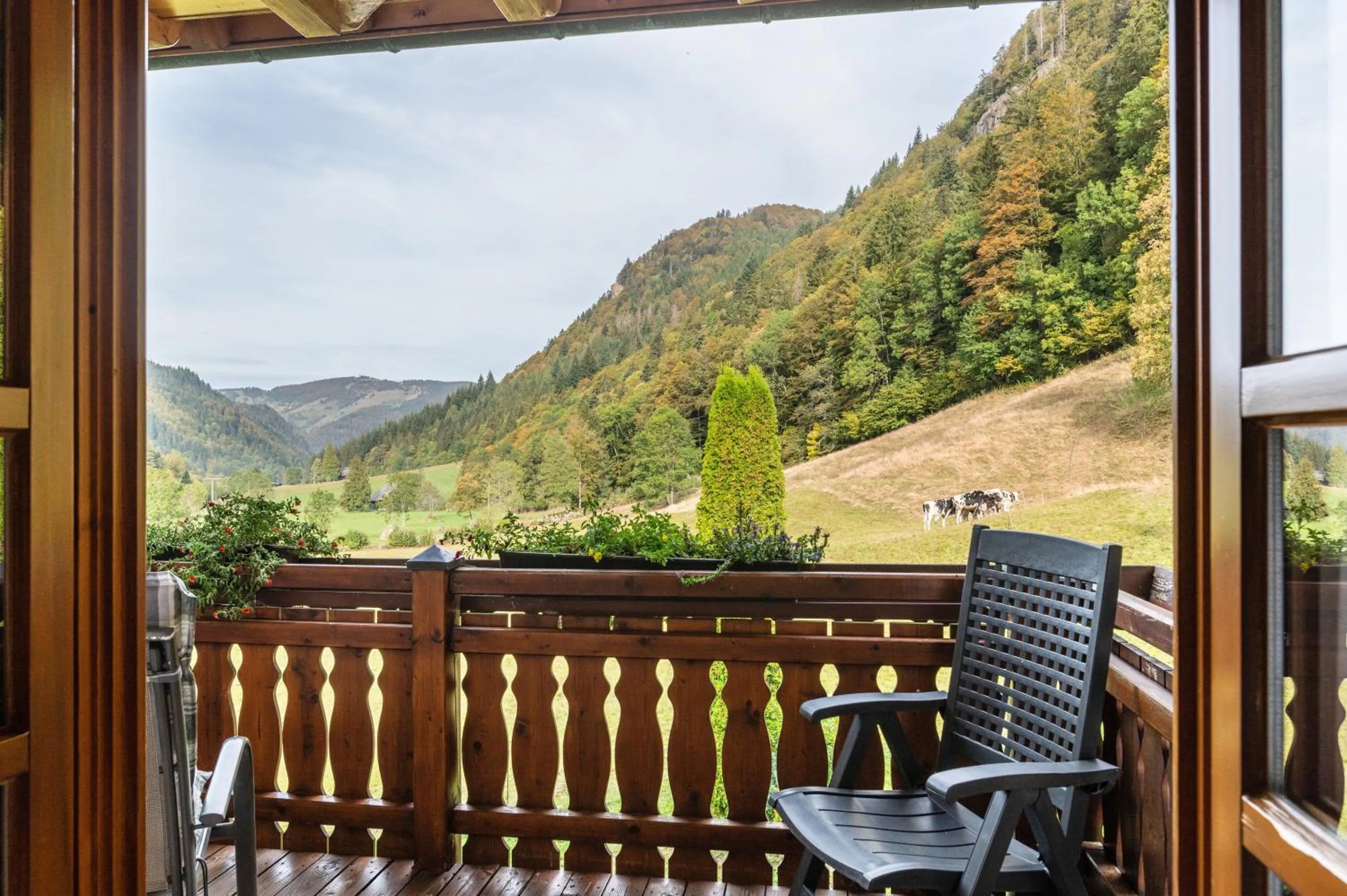 Property building in Gasthaus Zur Linde- Napf