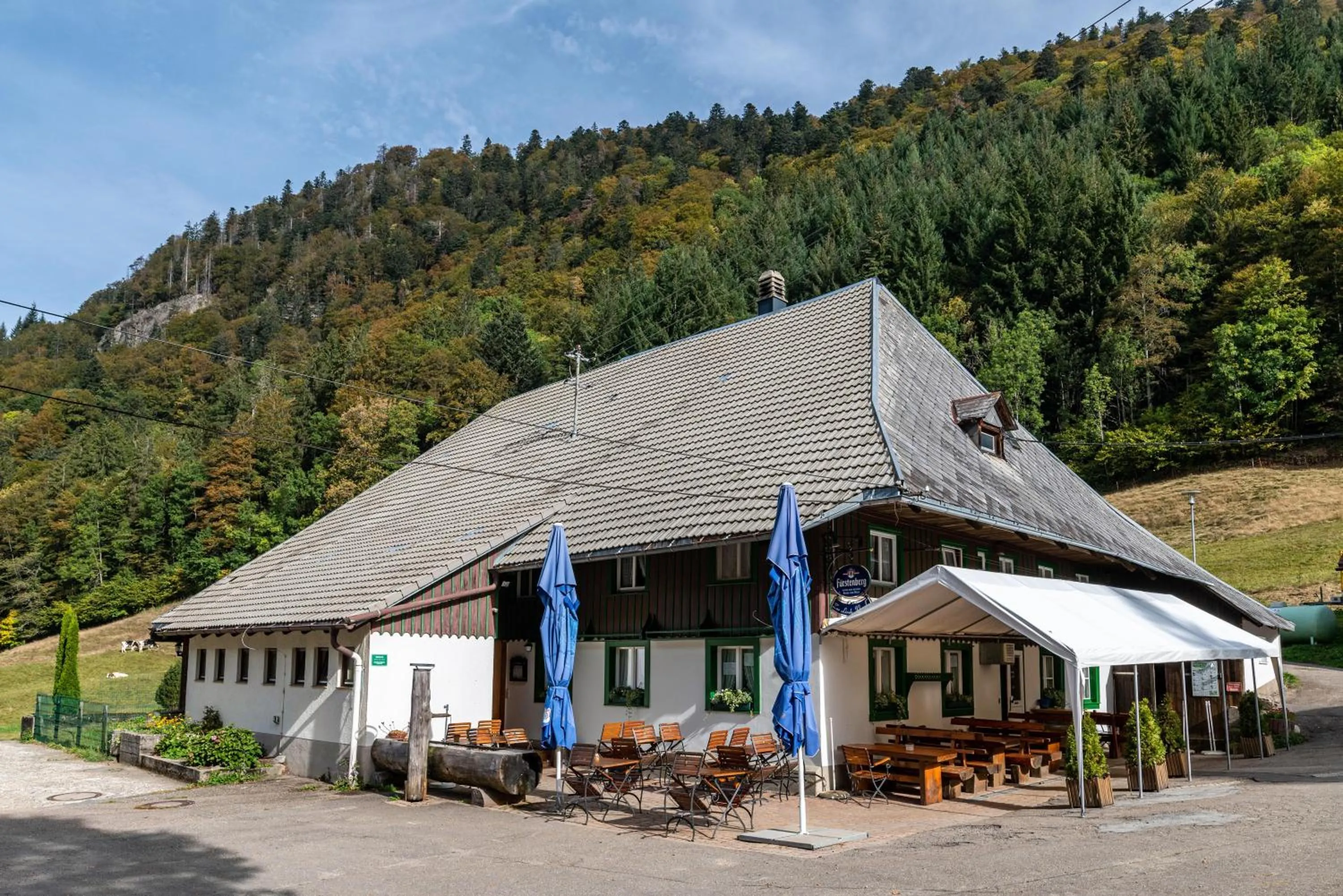 Property building in Gasthaus Zur Linde- Napf