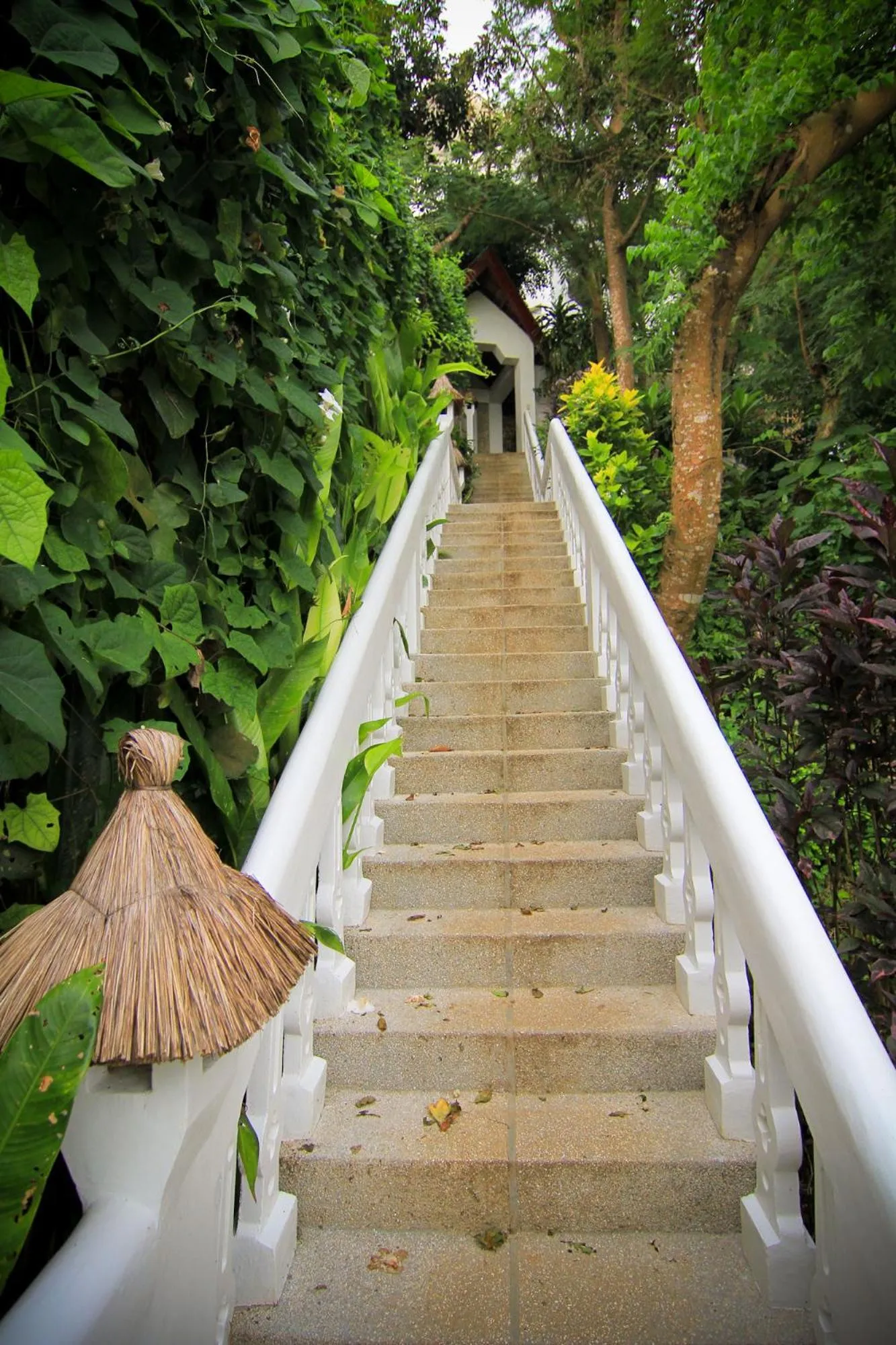 Facade/entrance in Tropicana Ocean Villas