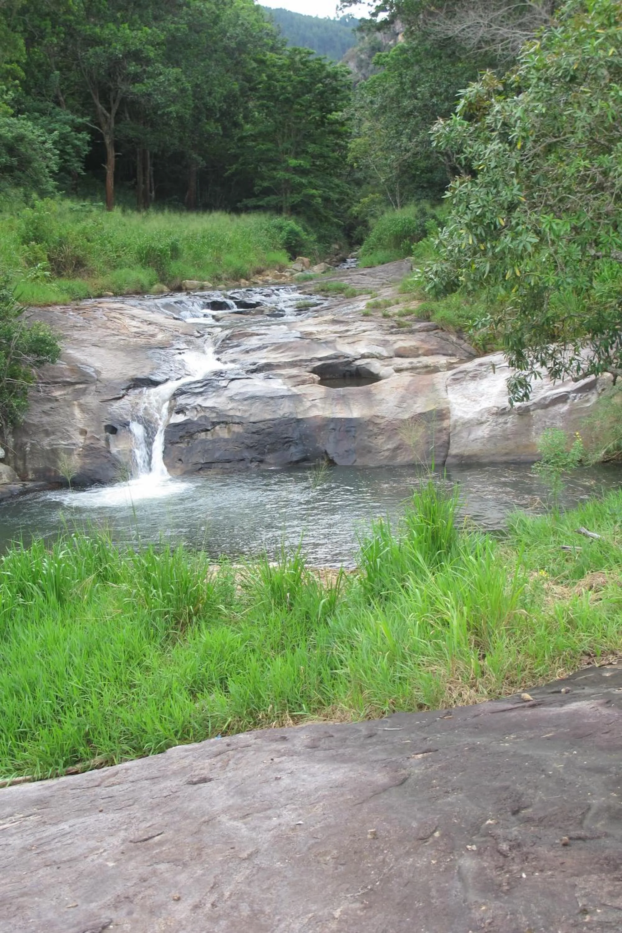 Nature Hub Koslanda