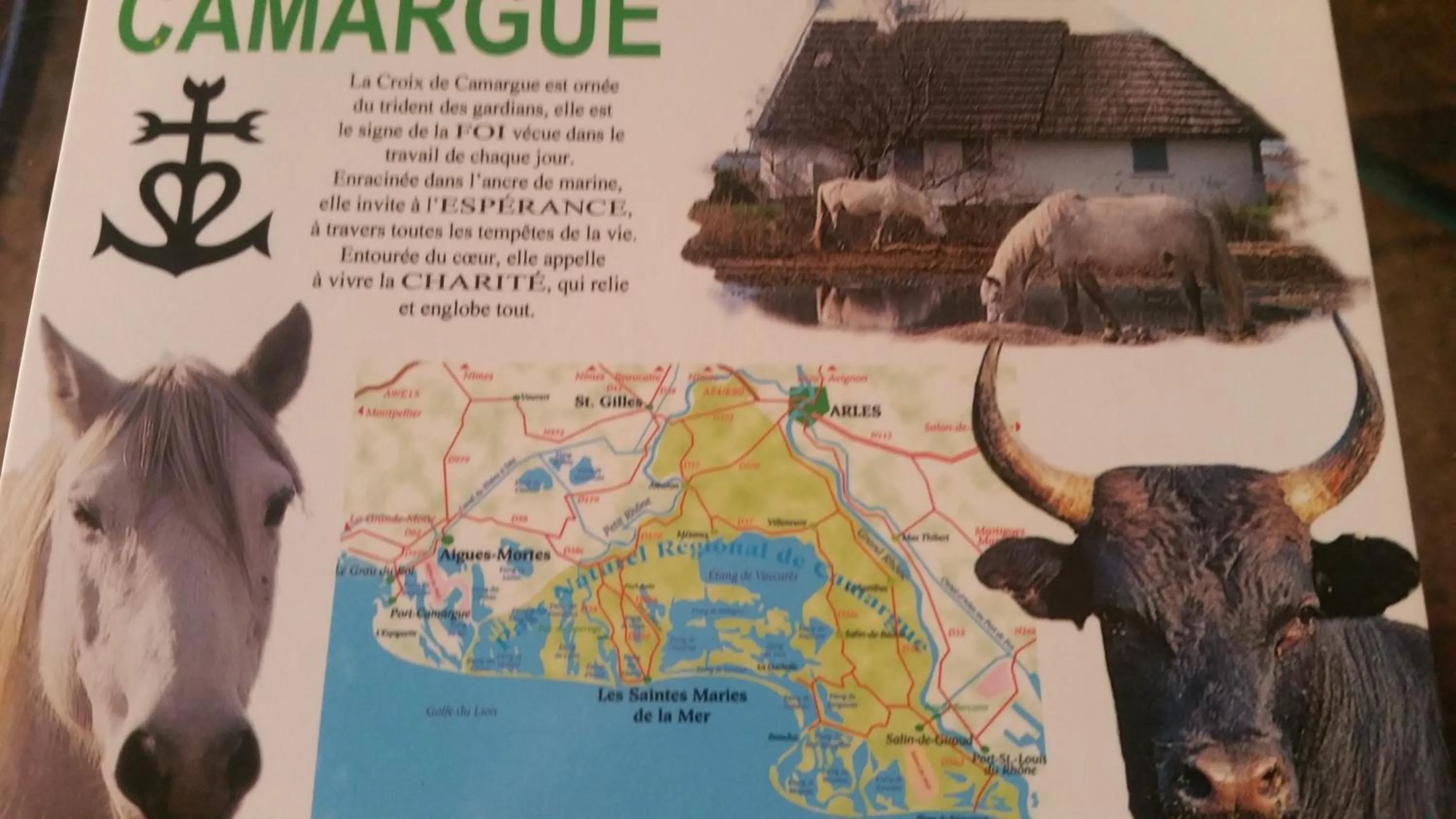 Spring in Le Clos des Aramons