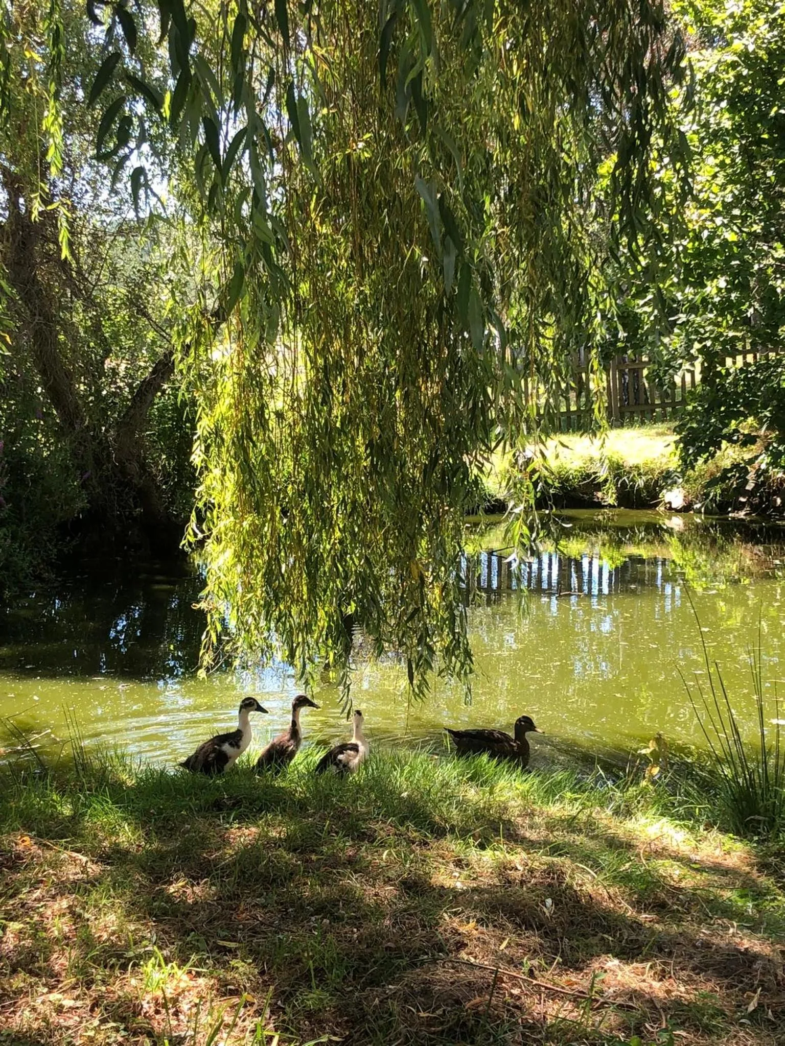Chambres D'hotes De La Mure