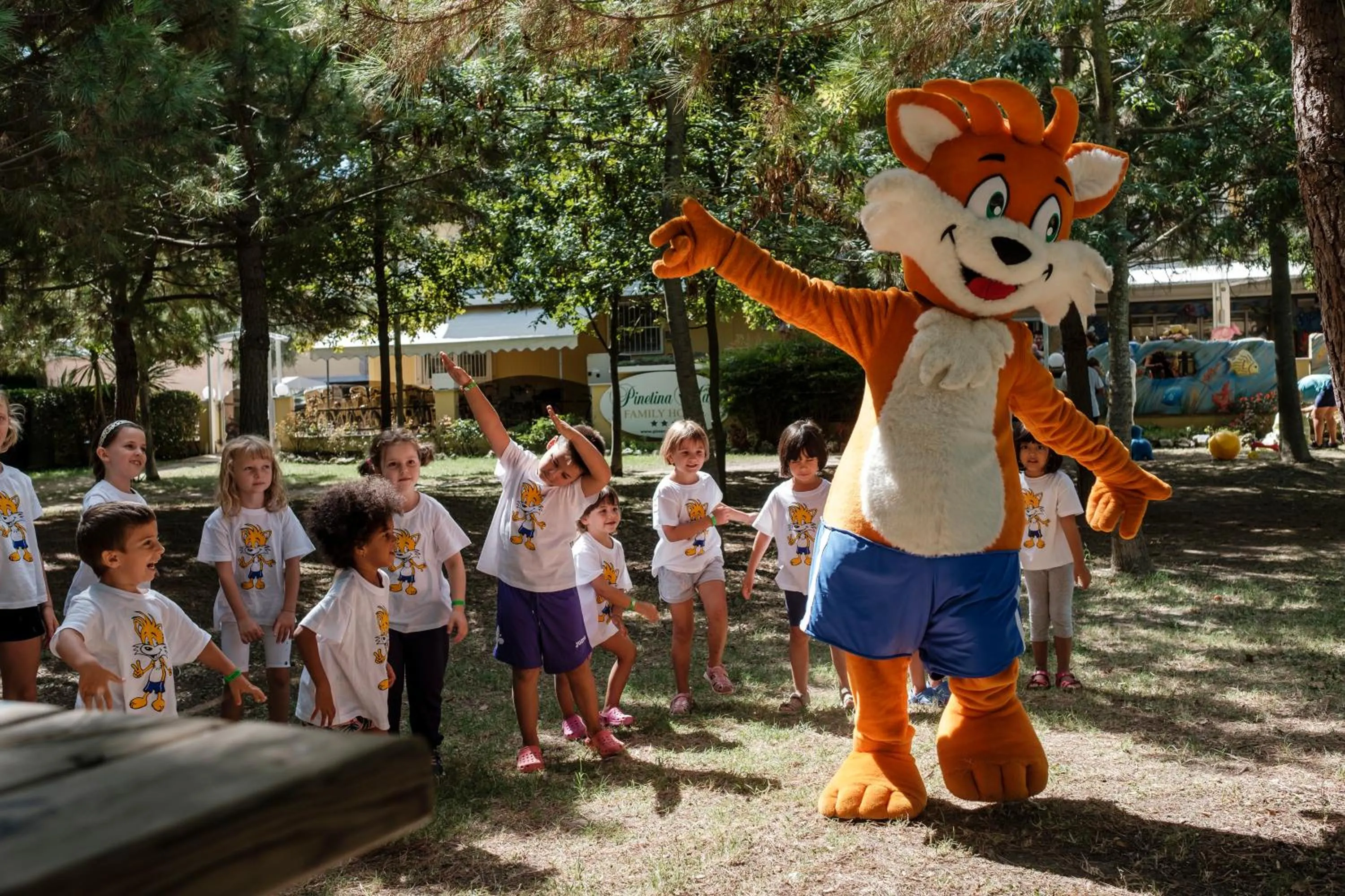 Activities in Pinetina Mare Baby Family Hotel