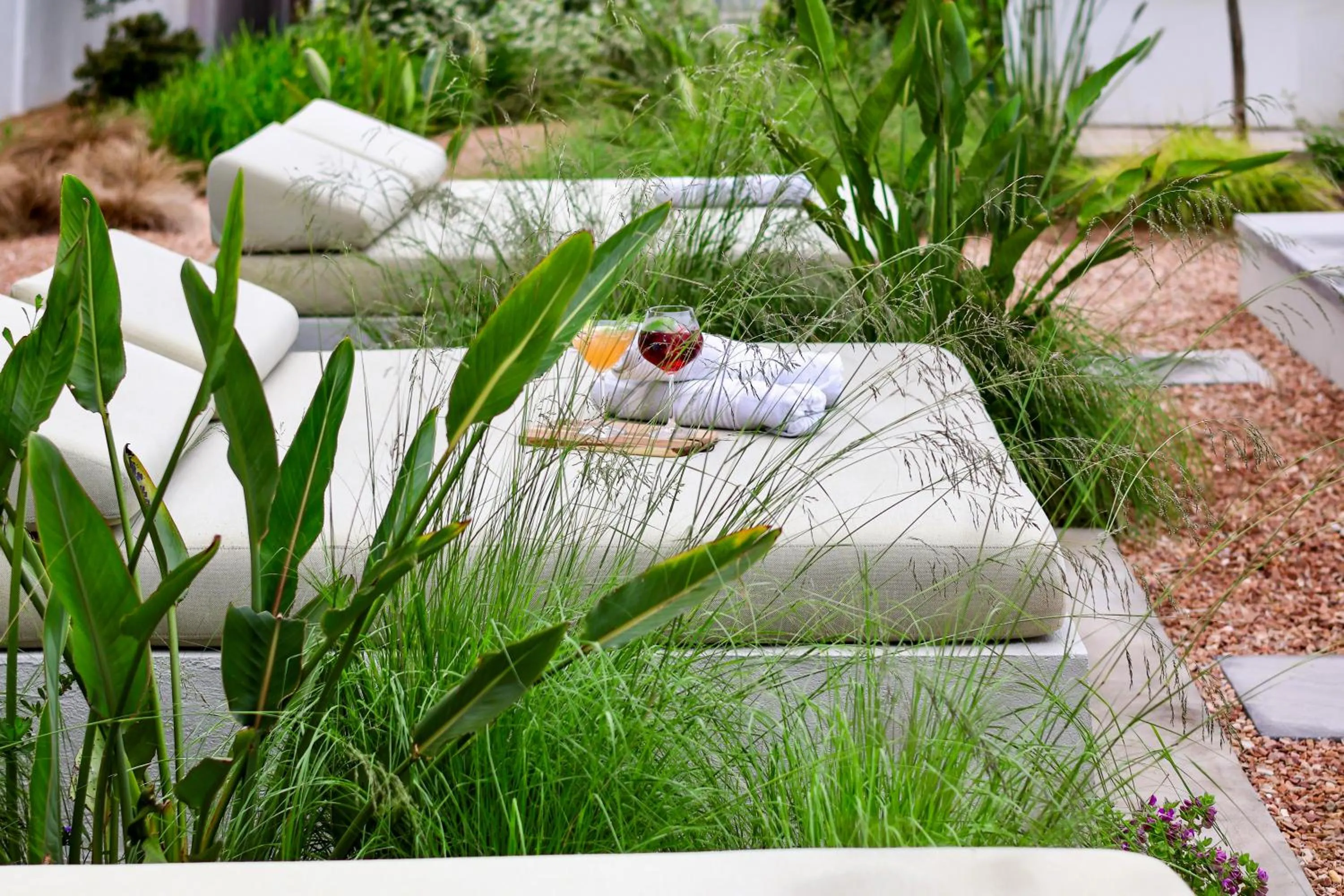 Garden in The Grand Hotel Robertson