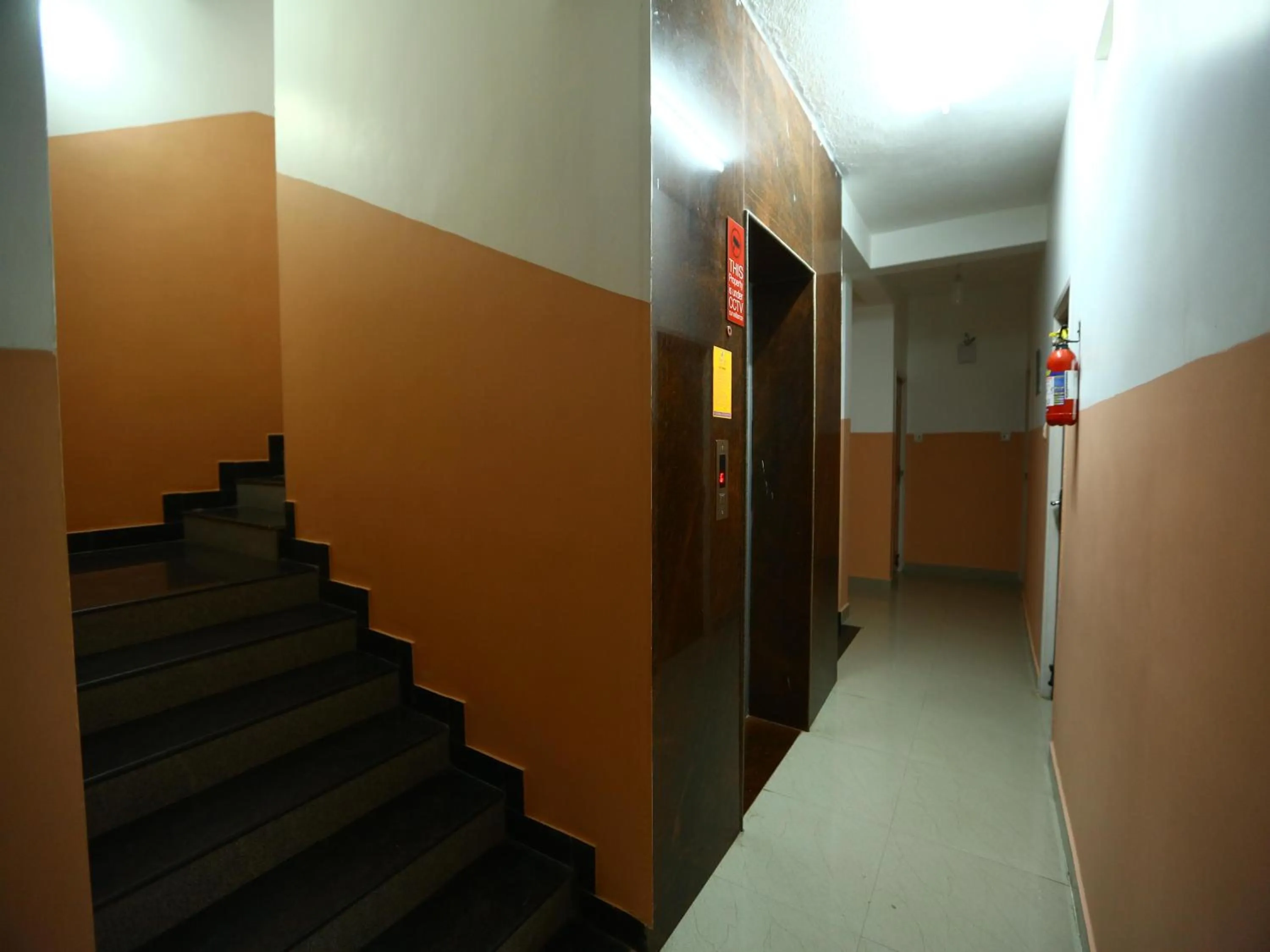 Area and facilities in Olive Apartments