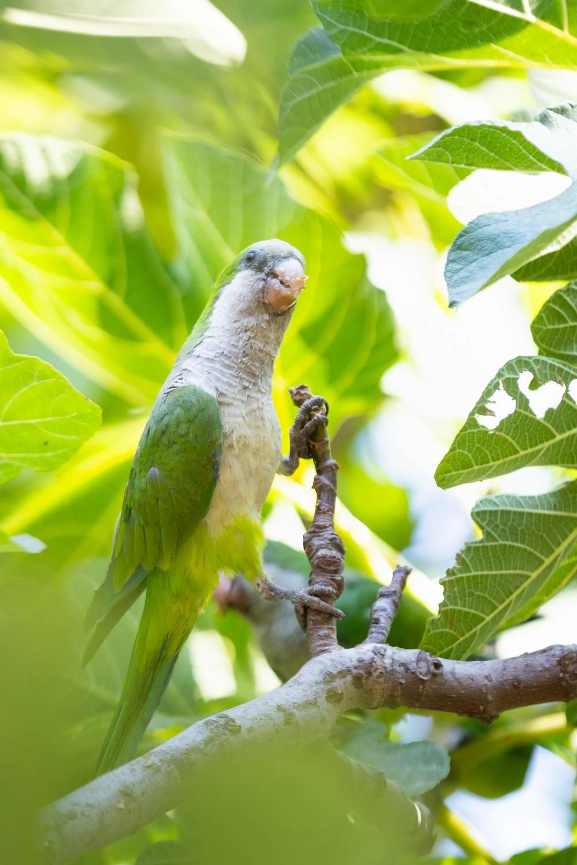 Natural landscape in Cormoran Hotel & Residence
