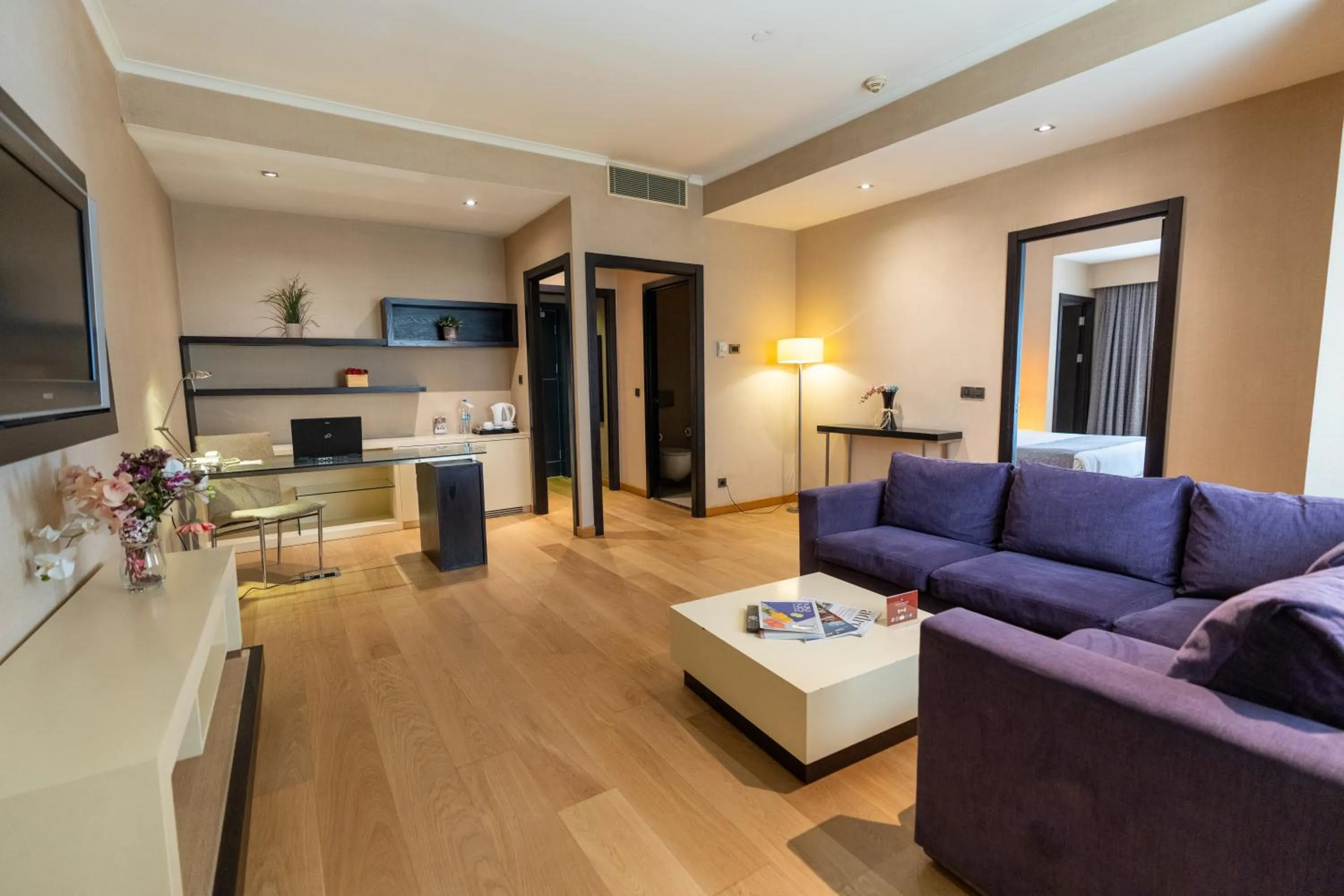 TV and multimedia in Sundance Hotel Istanbul