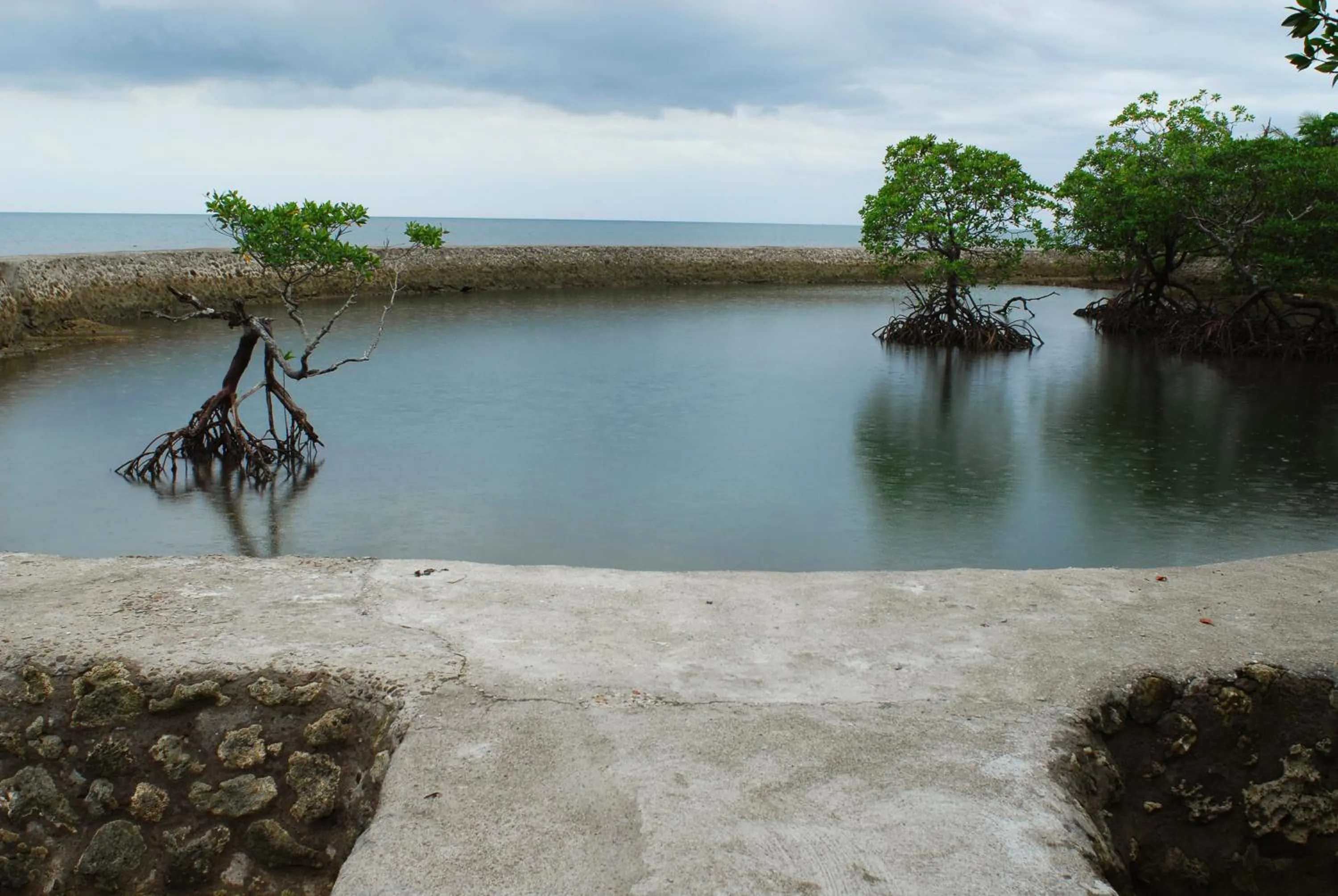 Natural landscape in Costa Aguada Island Resort, Inampulugan Island, Sibunag, Guimaras
