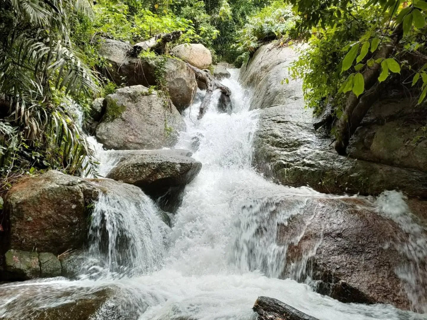 Natural landscape in Thap Pala Cottage