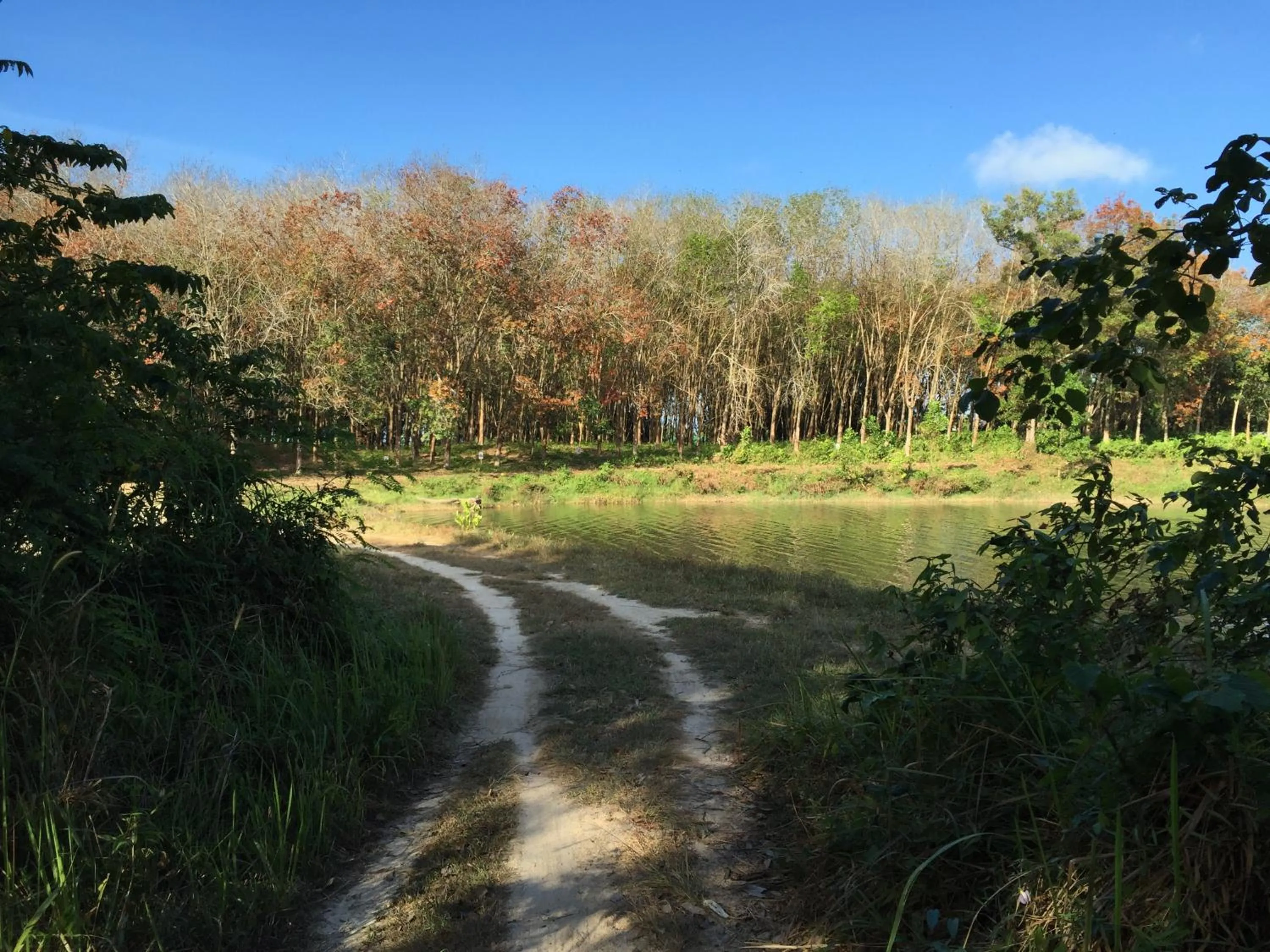 Neighbourhood in Thap Pala Cottage