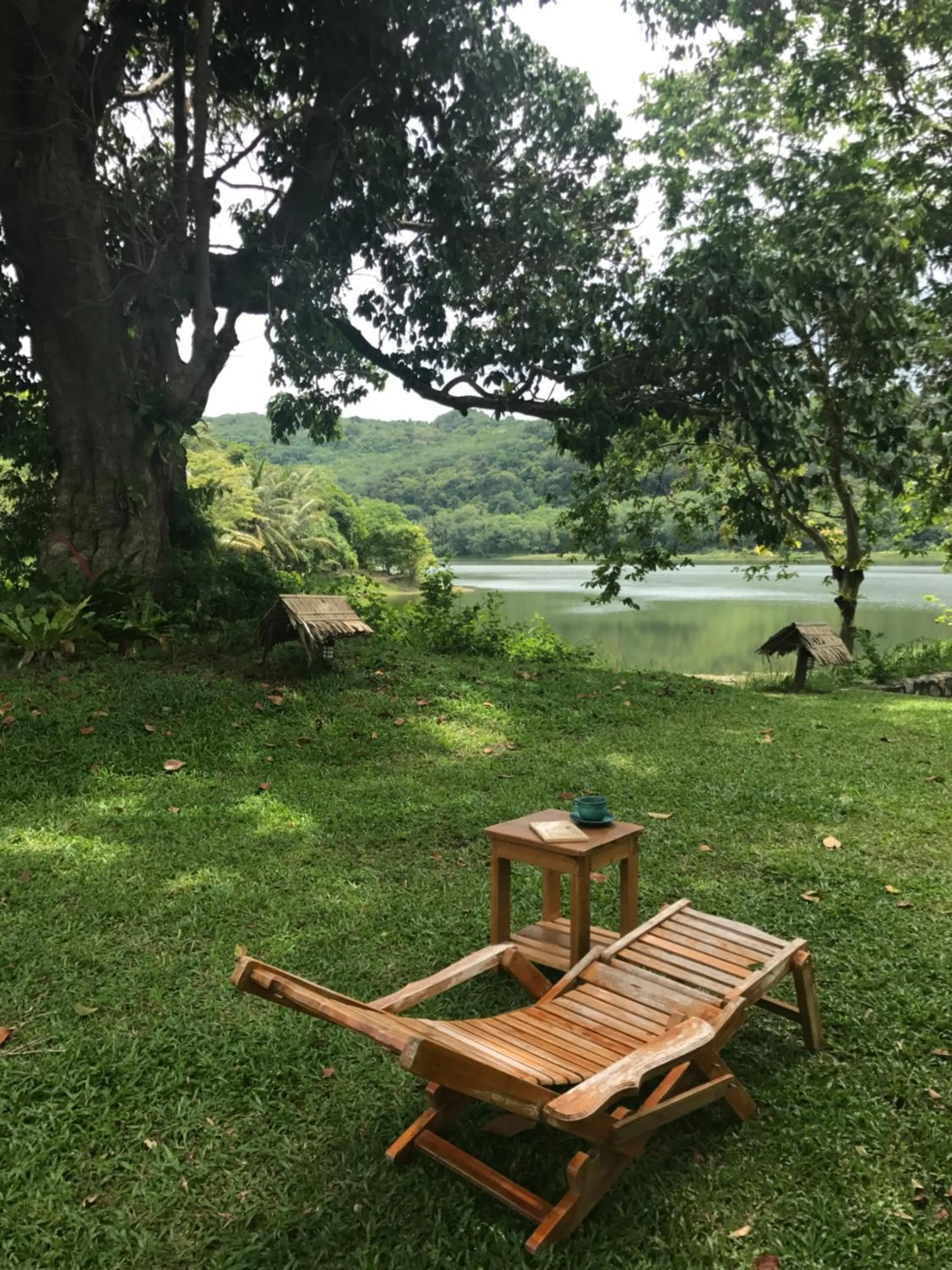 Natural landscape in Thap Pala Cottage