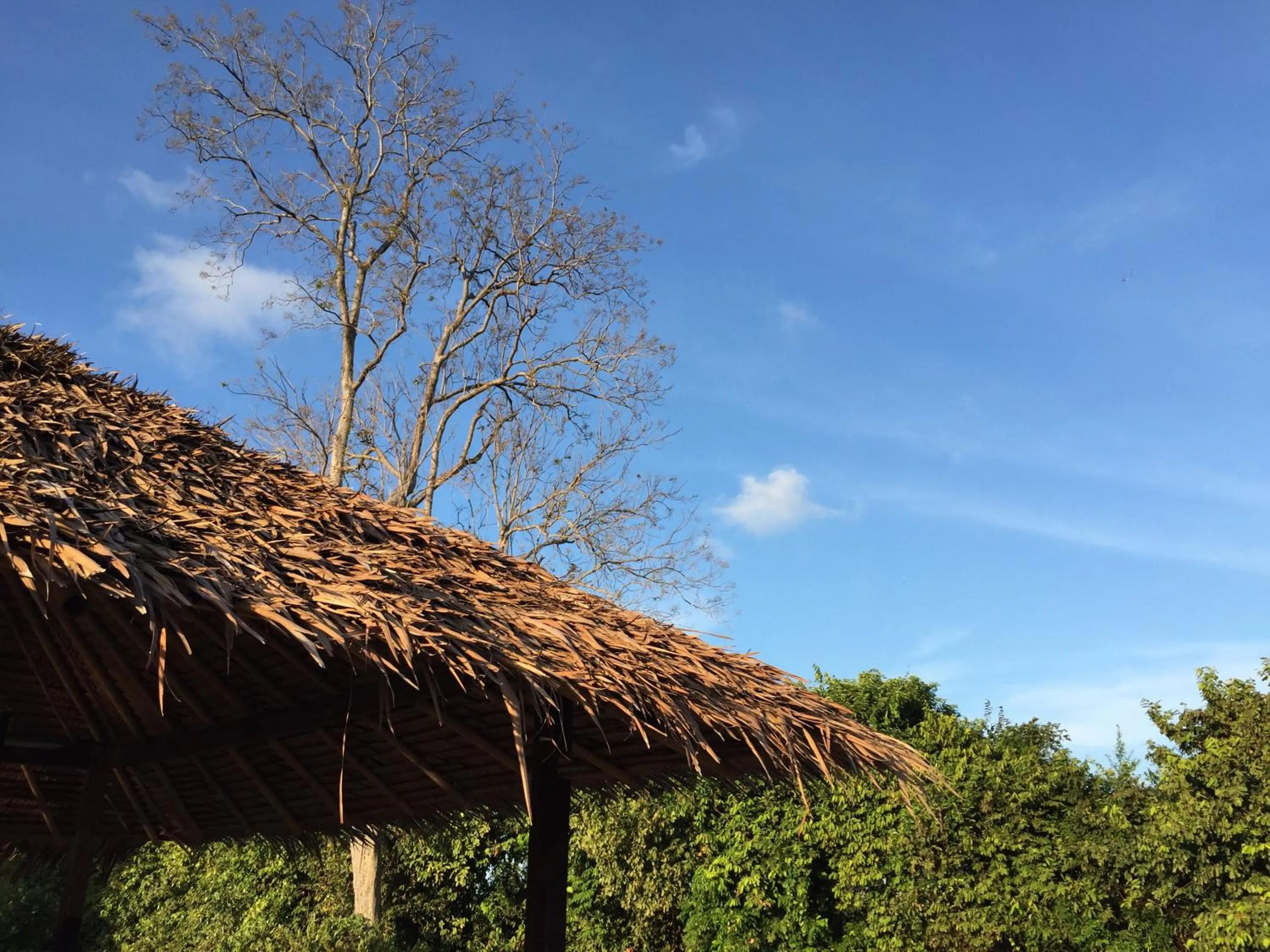 Property building in Thap Pala Cottage