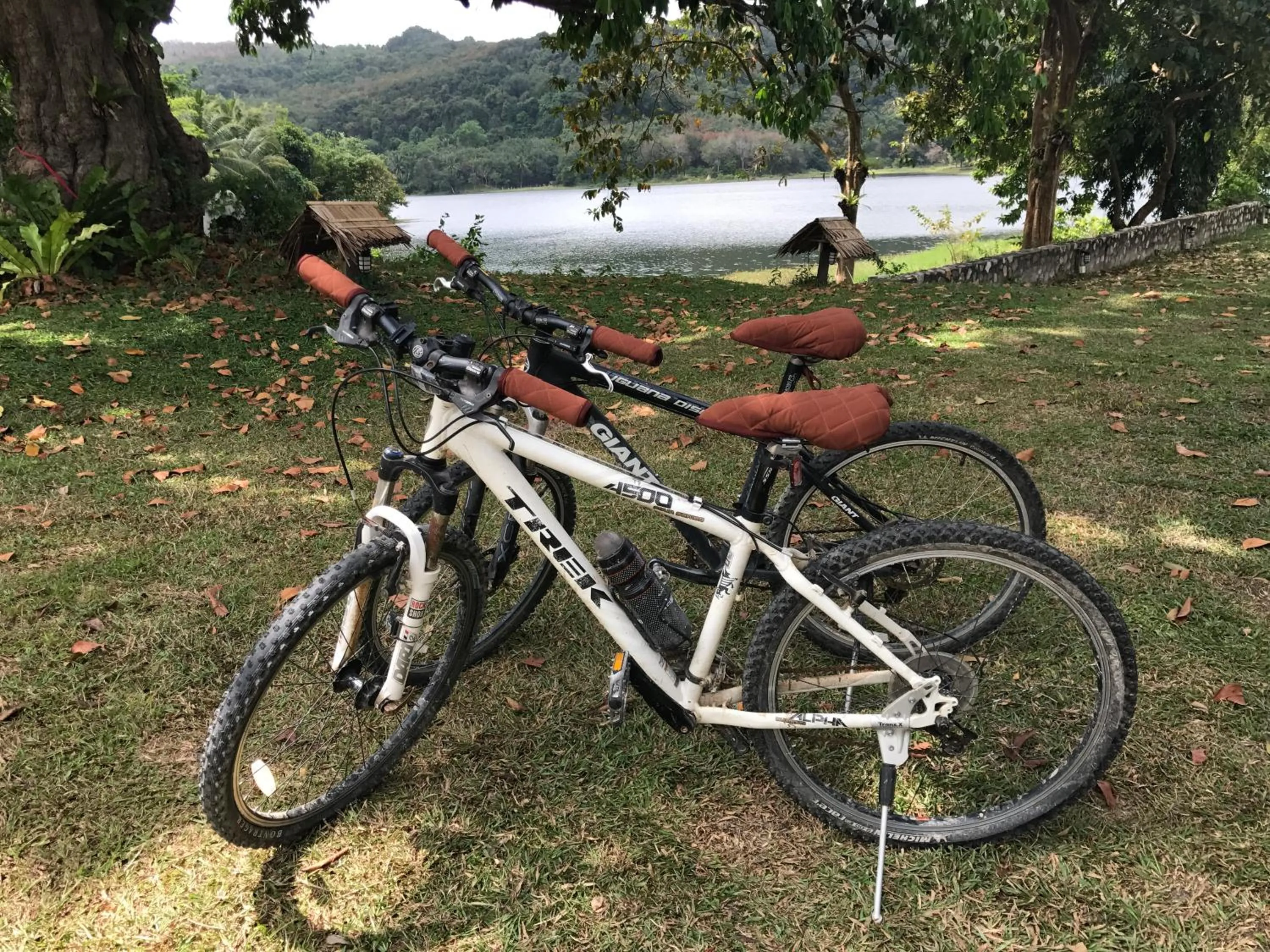 Cycling in Thap Pala Cottage