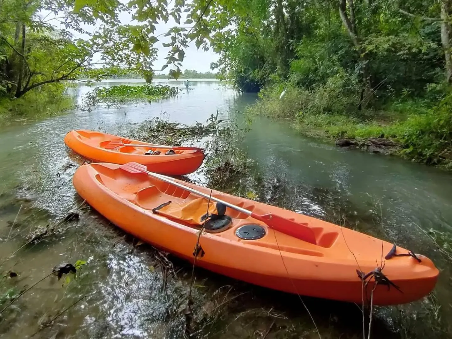 Activities in Thap Pala Cottage