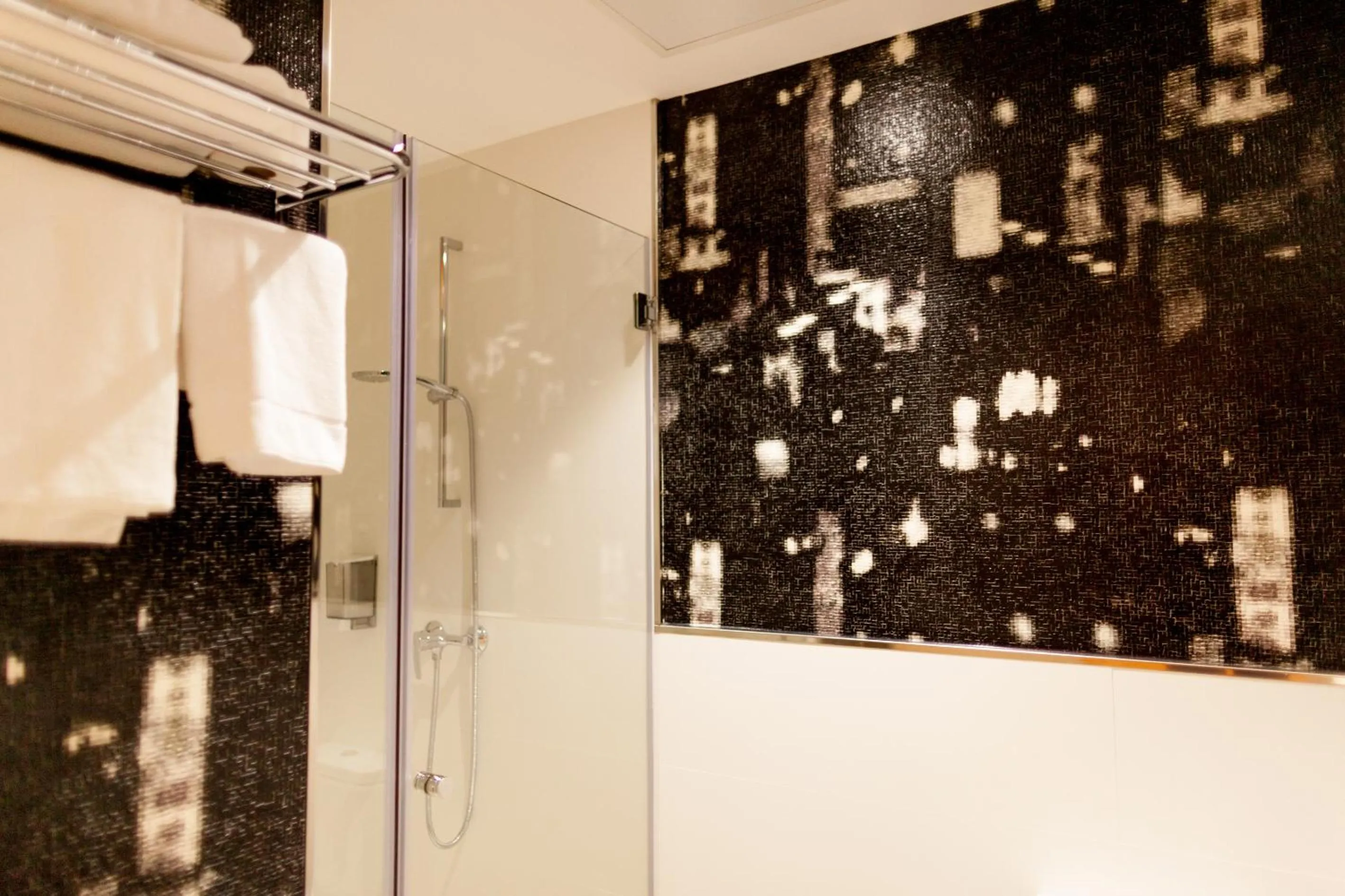 Shower in Host & Home