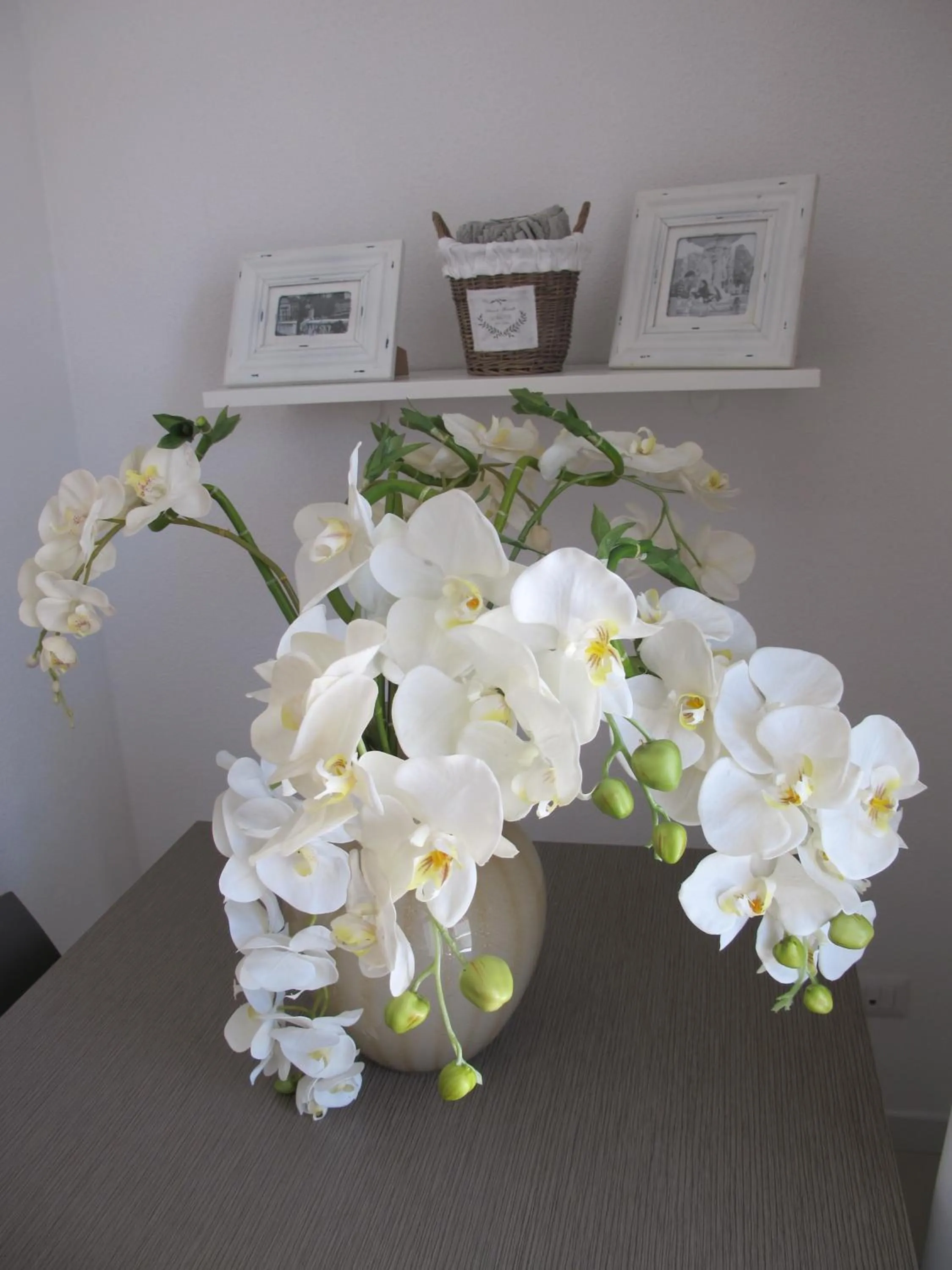 Photo of the whole room in Guest House Suite