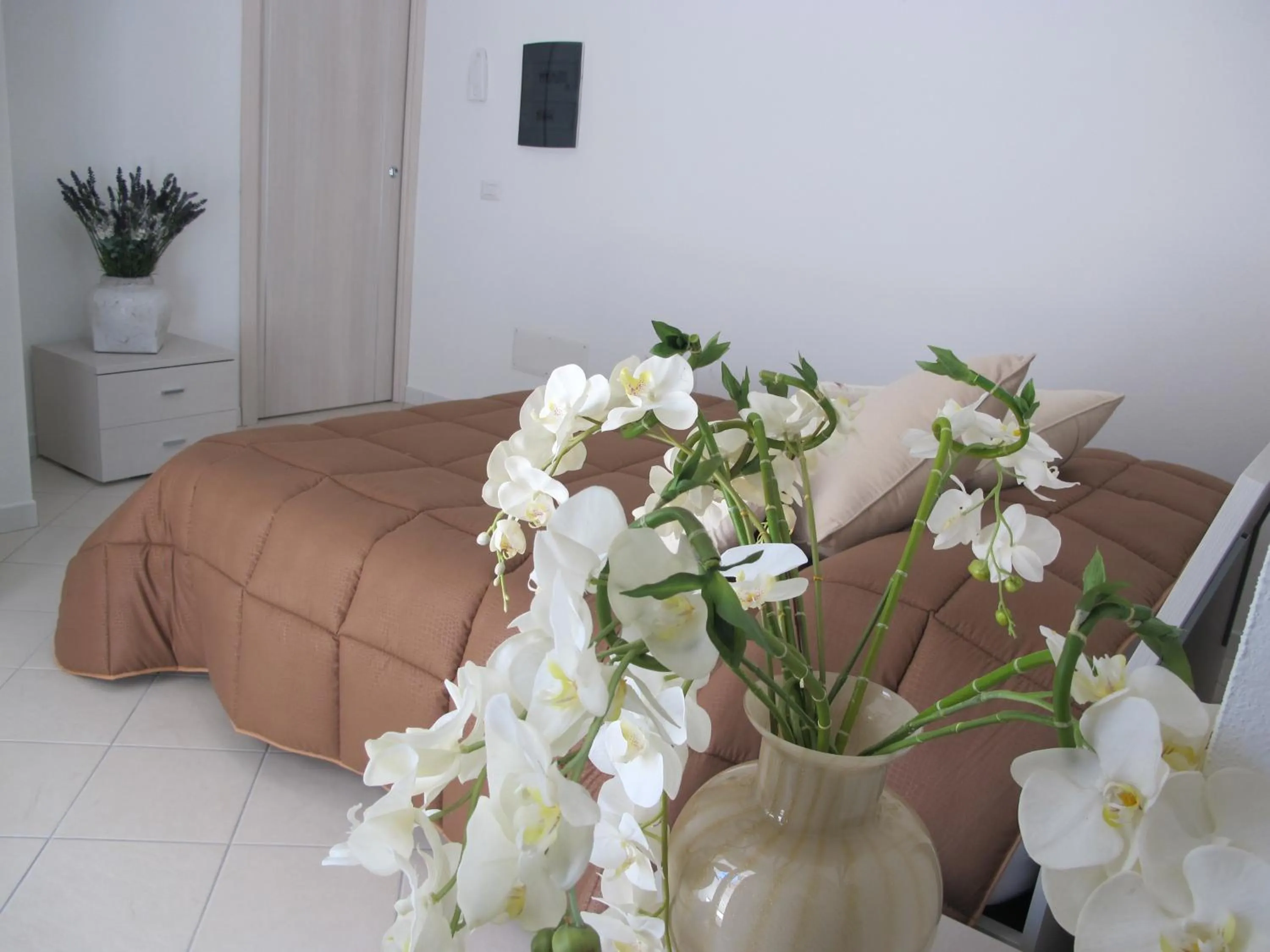 Other, Bed in Guest House Suite