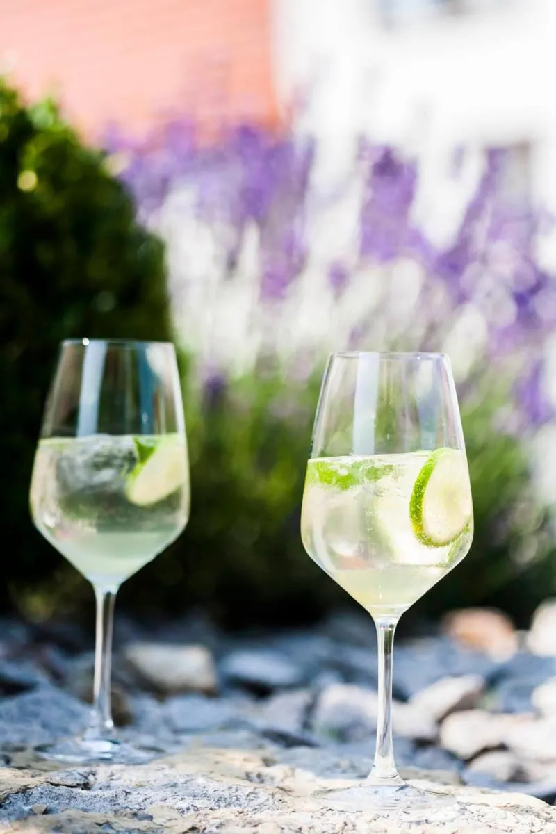 Alcoholic drinks in Hotel Restaurant Lamm